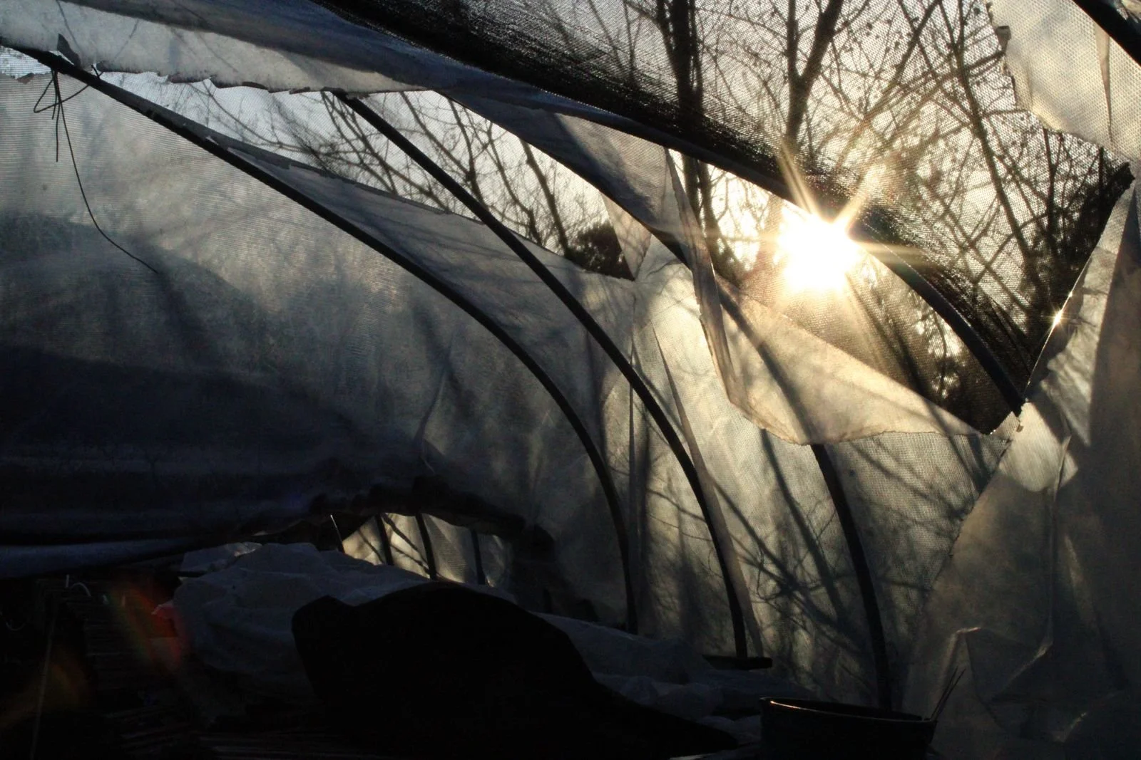 WhatsApp Image 2025-06-06 at 18.12.23.jpeg