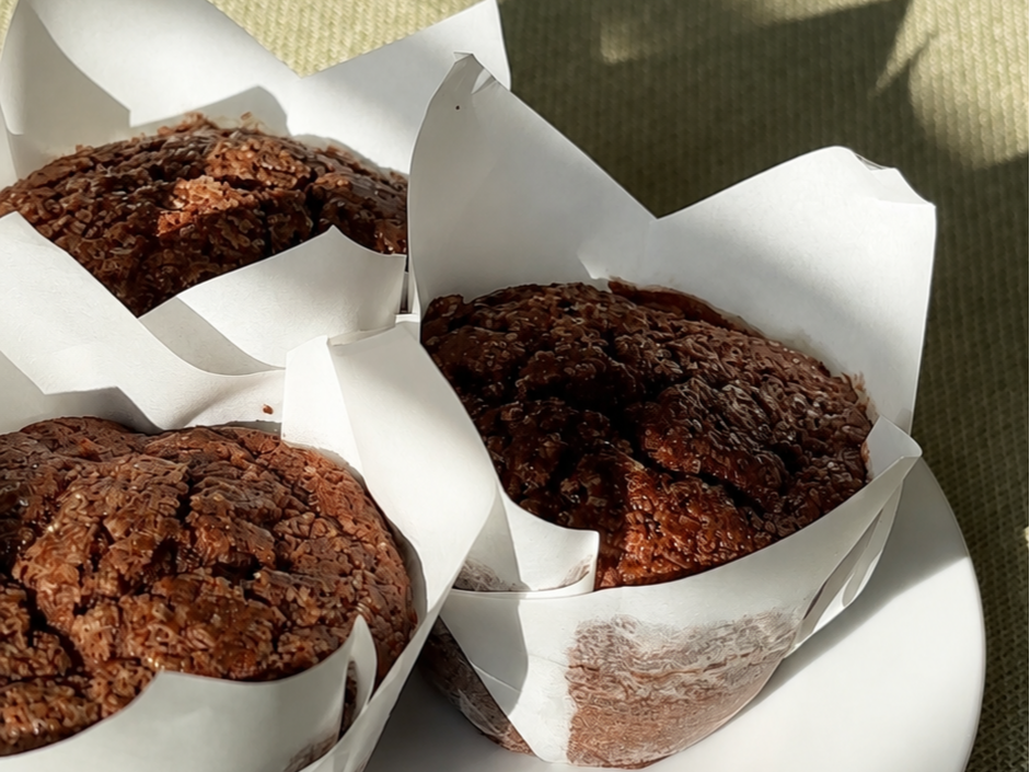 Double Chocolate Muffins