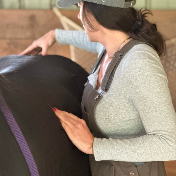 Dr. Callie Gant - animal chiropractor Greenville, SC