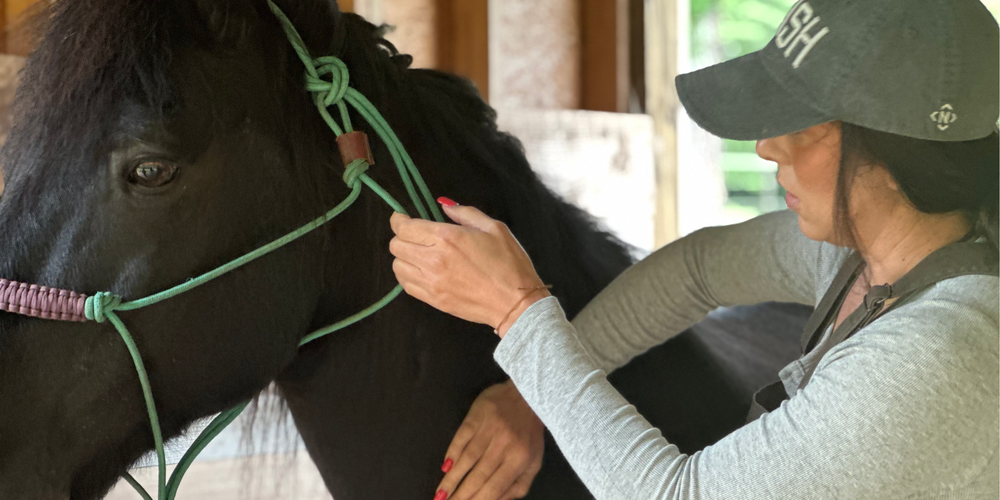 Equine chiropractor Dr Callie Gant