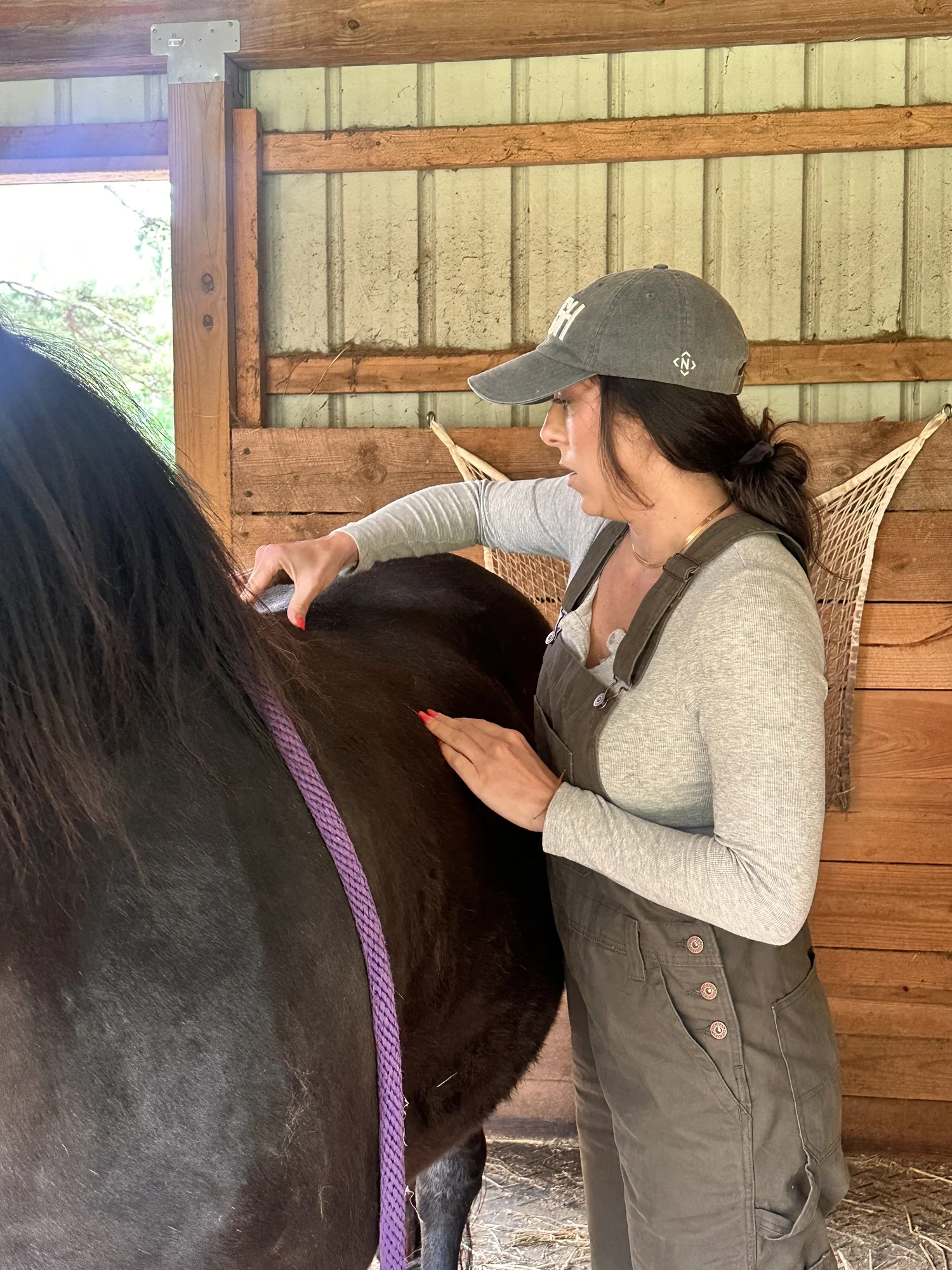 Woman in gray cap and gray shirt petting a large black cow inside a wooden barn