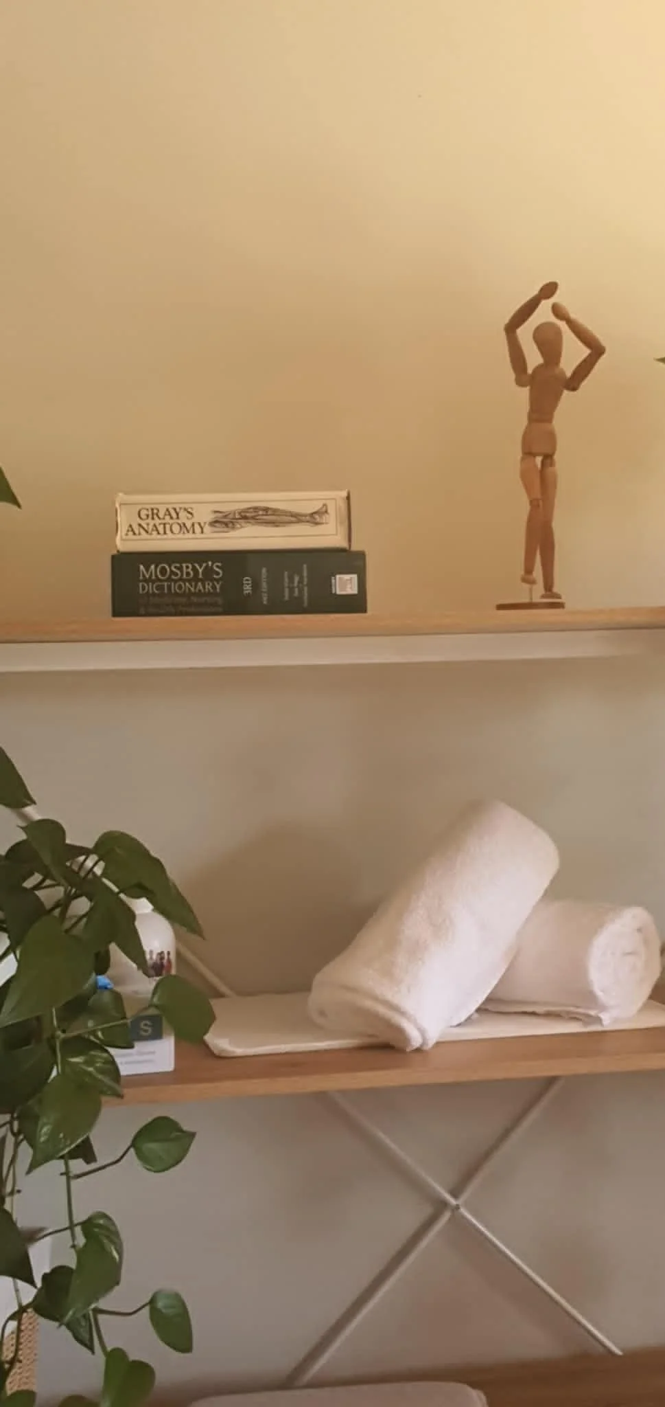 A wooden shelf with two books, a wooden mannequin holding a ball, and two rolled white towels, with a green leafy plant partially visible on the side.