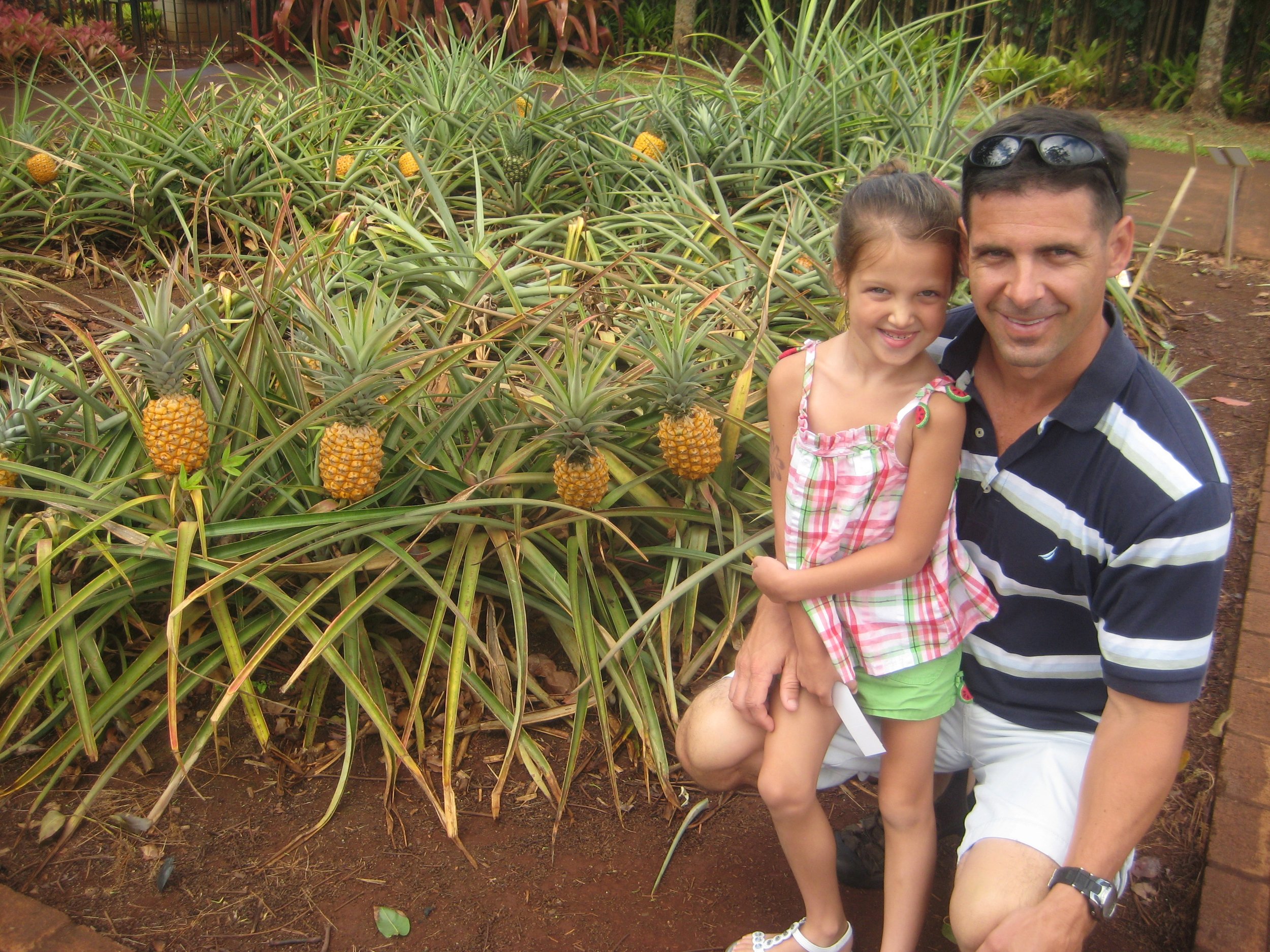 Dole Pineapples.JPG