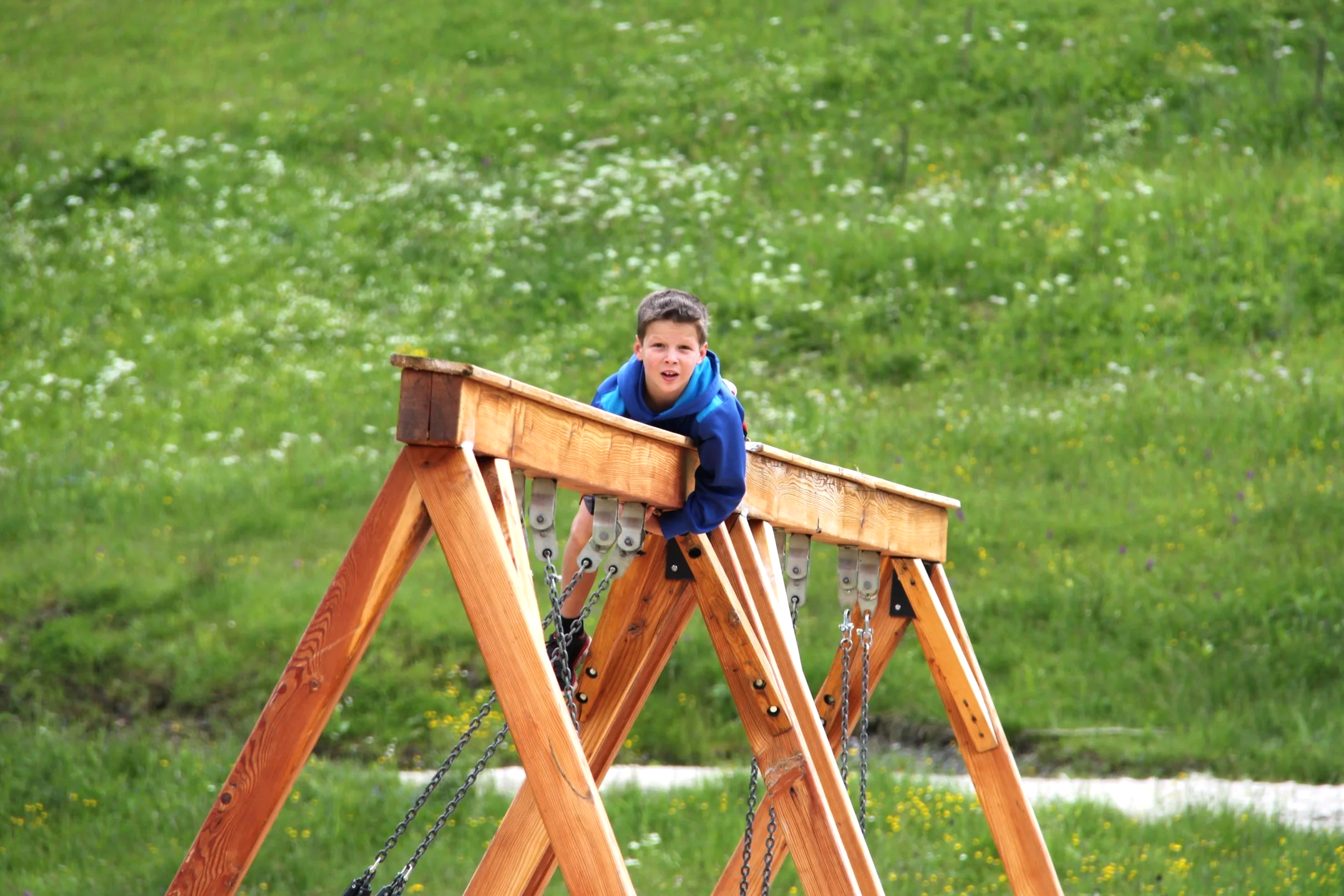 Alpine+Coaster+%281%29.png