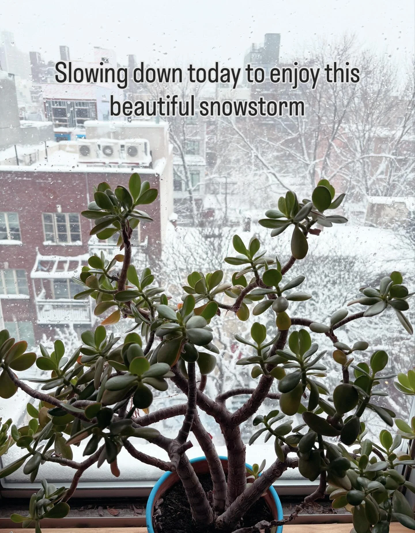We haven&rsquo;t seen a snowstorm in NYC like this in years. What a beautiful day and enjoying this time working from home before returning to the normal pace of life.