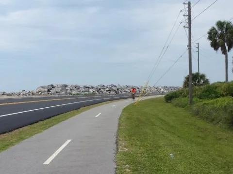 A person riding a bicycle on a paved trail beside a road with utility poles, palm trees, and rocks in the background.