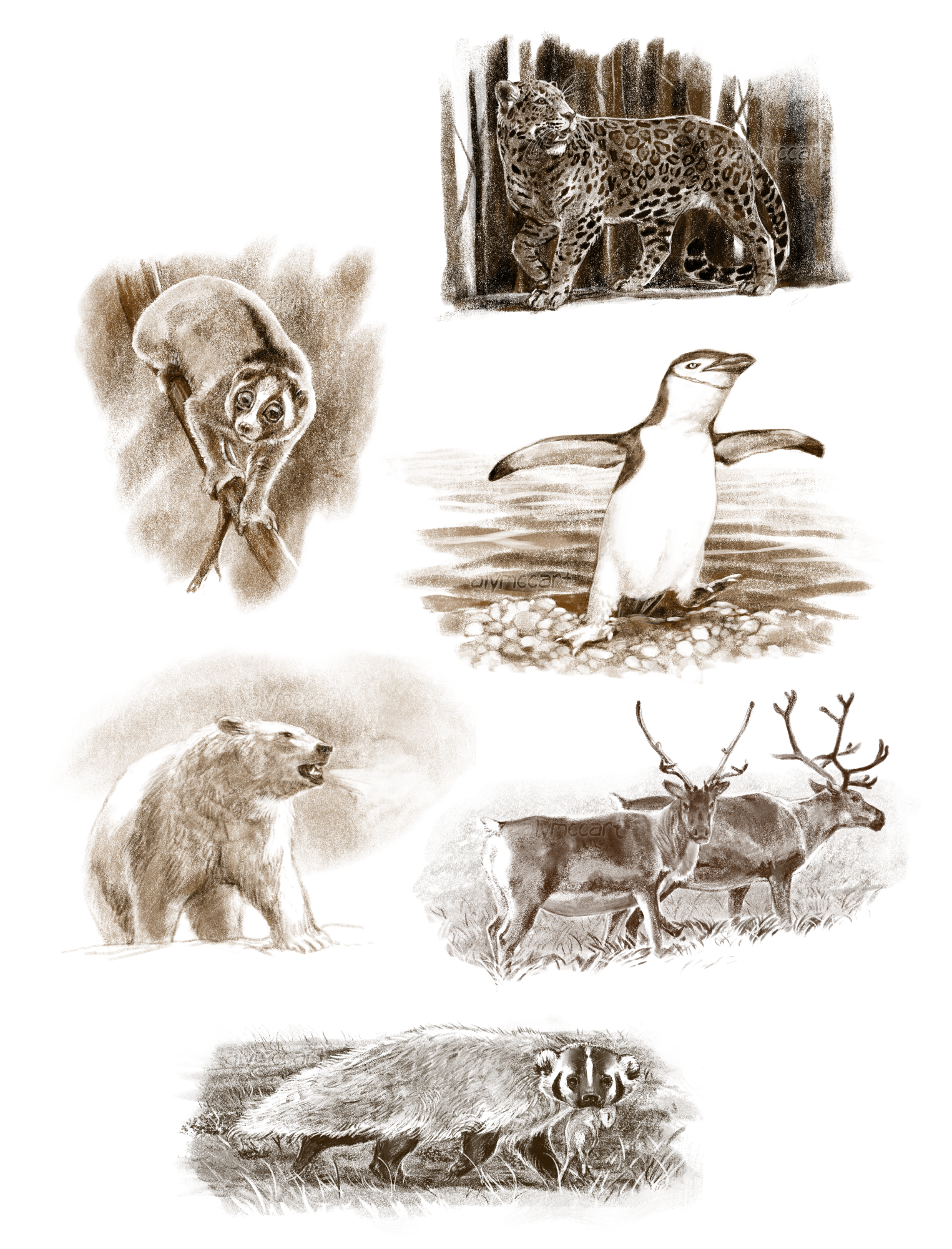 A collection of pencil-sketch style digital illustrations. From top to bottom can be seen a jaguar, a slow loris, a penguin, a polar bear, a pair of caribou, and a North American badger. 