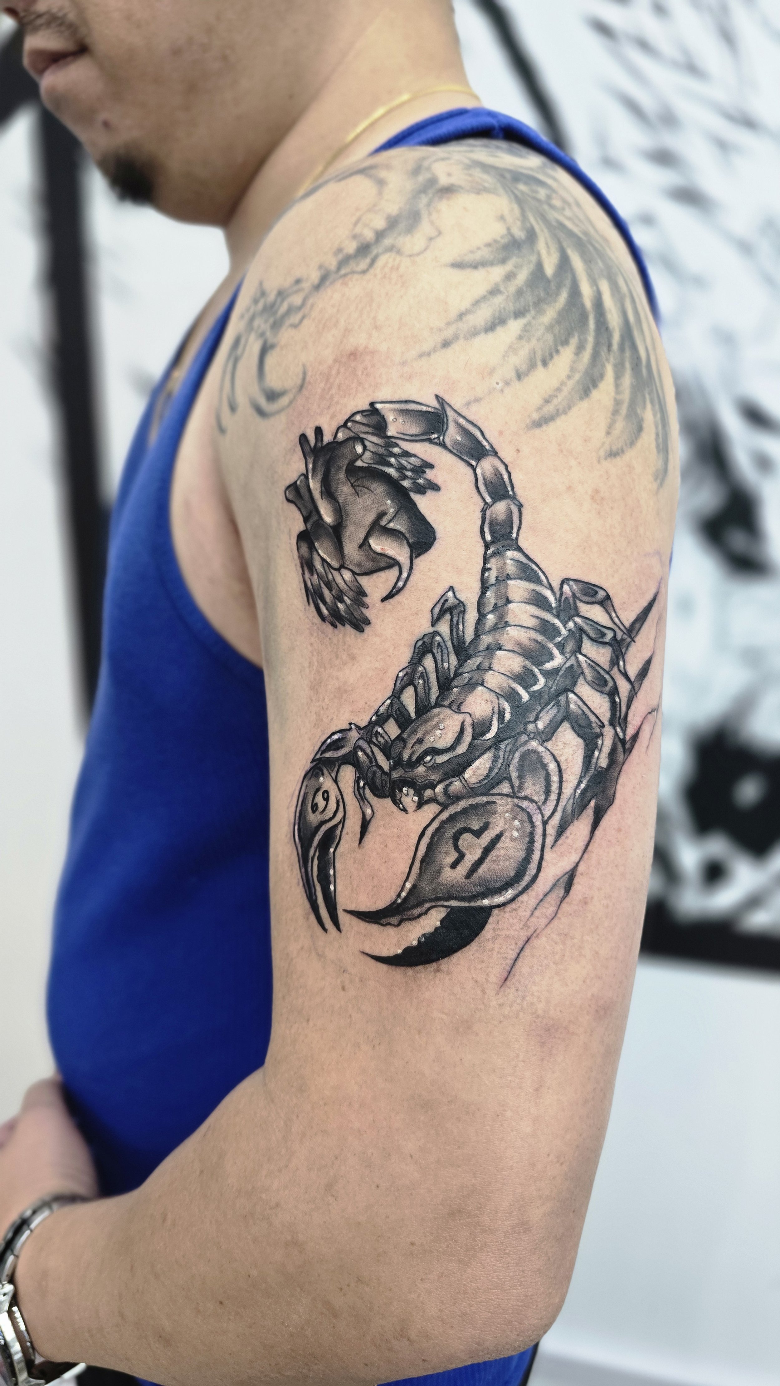 scorpion.jpeg