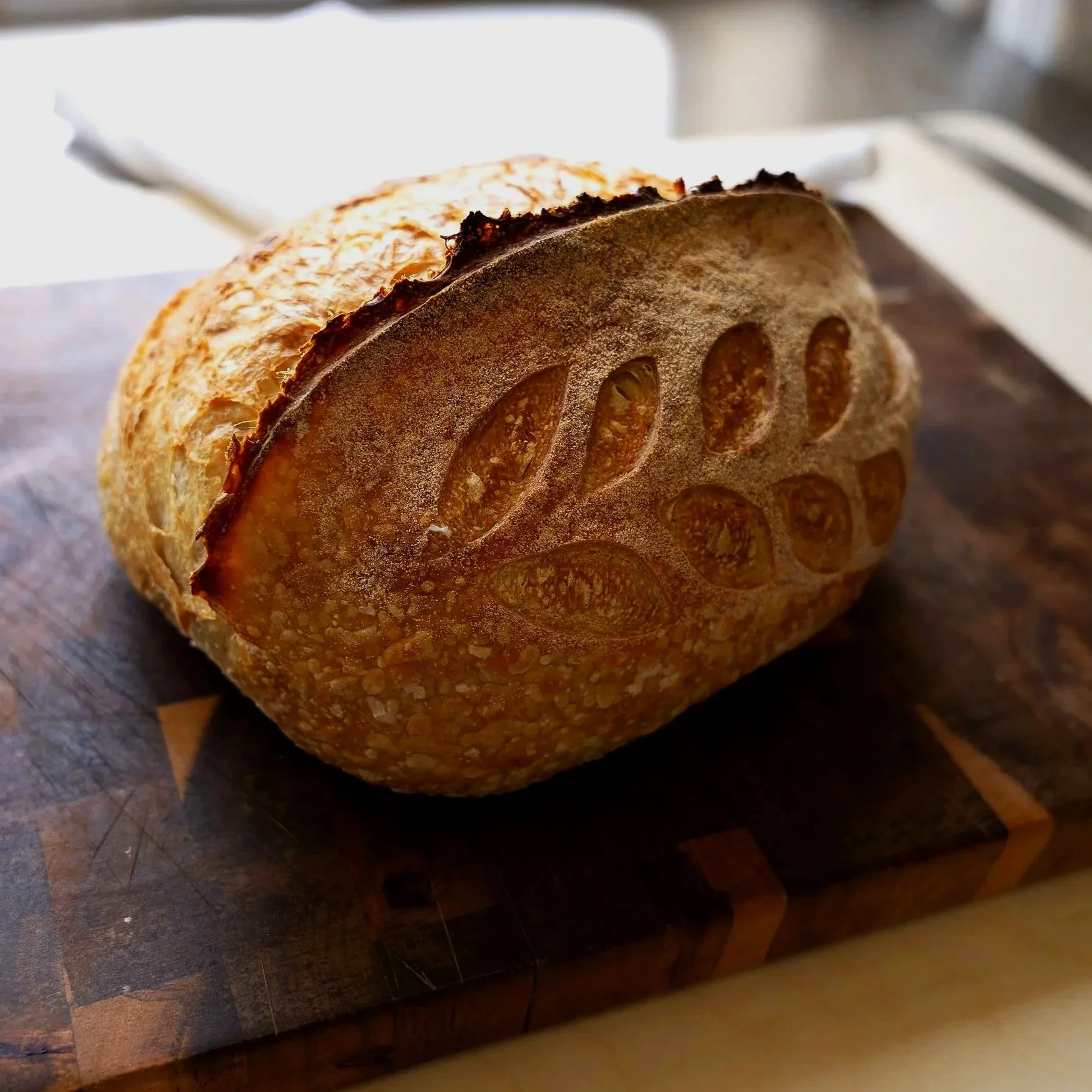 Rosemary%2BParm%2BSourdough%2BLegacy%2BSprings%2BBakery.jpg