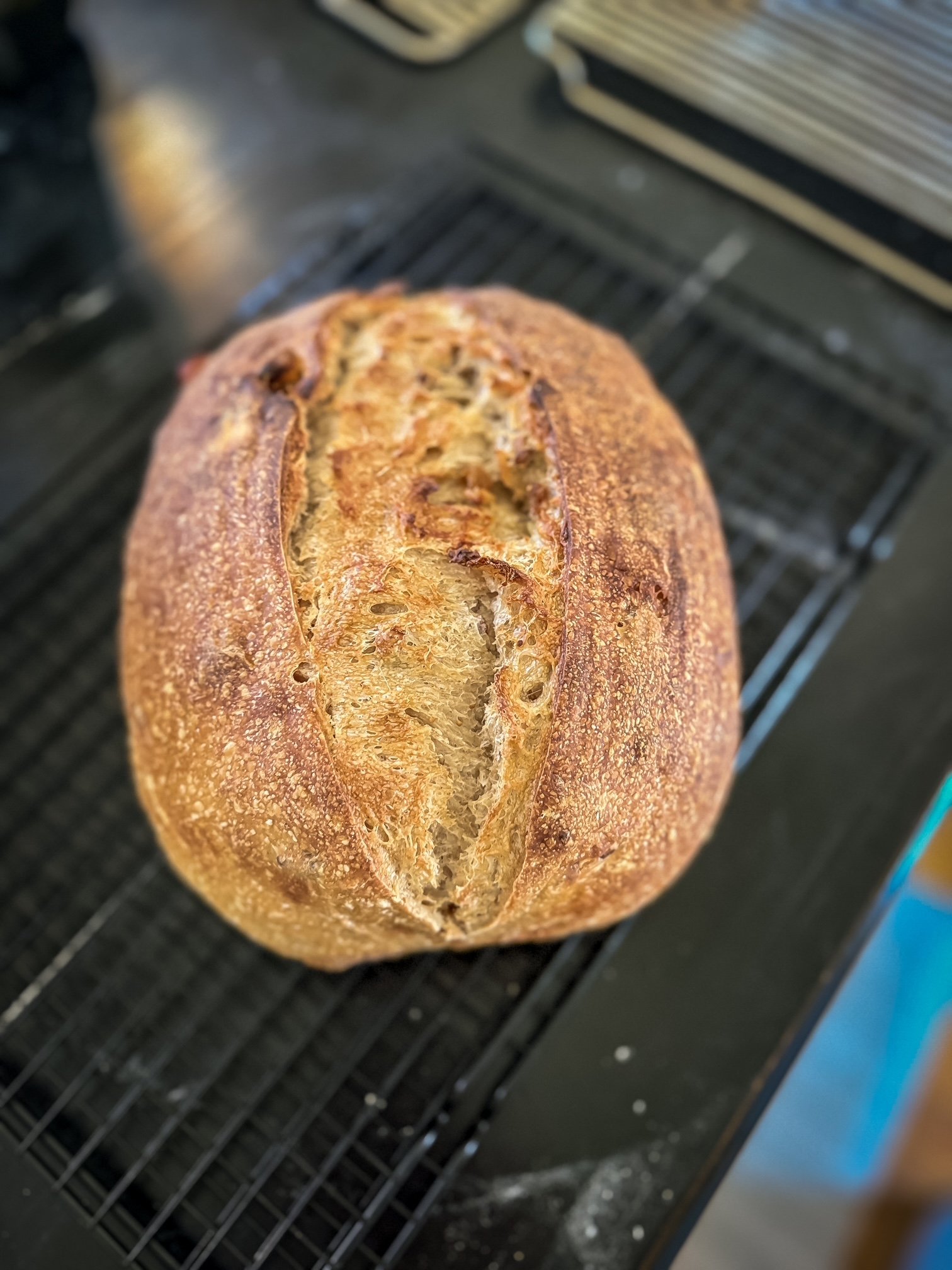 Brie Fig Pecan Sourdough