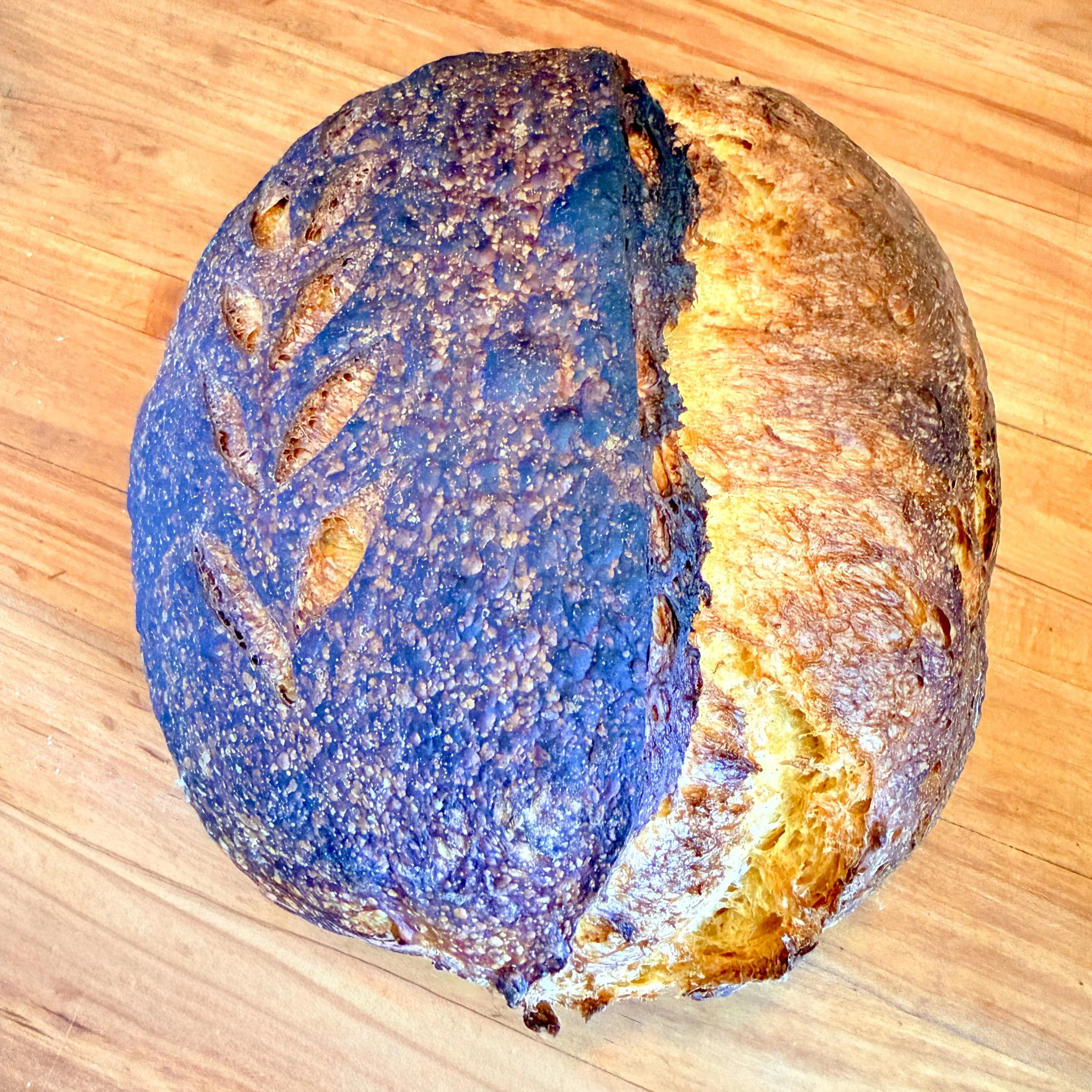Honey Pumpkin Harvest Sourdough, Legacy Springs Bakery.JPG