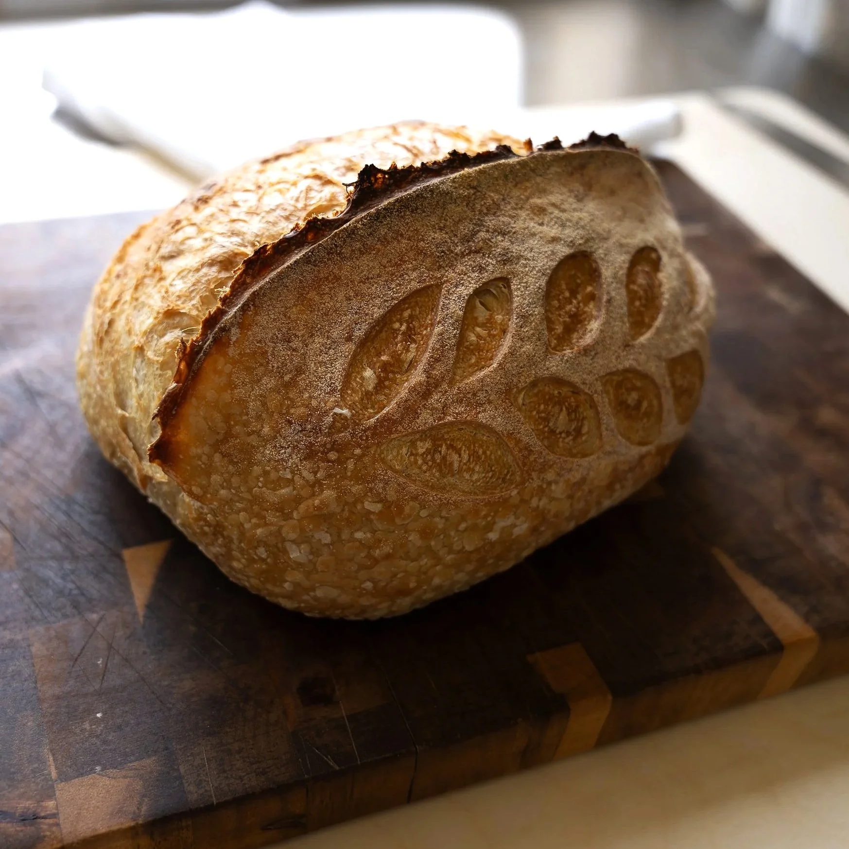 Rosemary+Parm+Sourdough+Legacy+Springs+Bakery.jpg