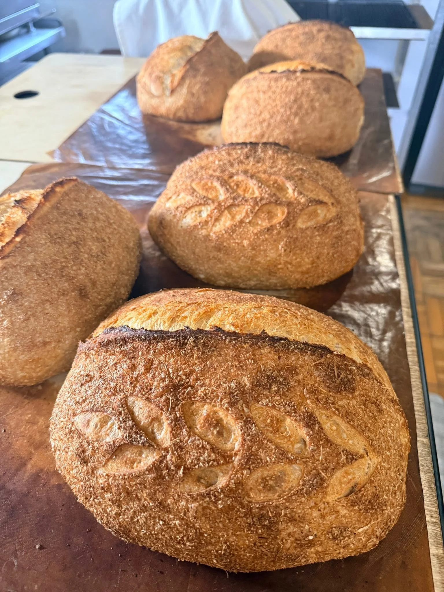 scoring sourdough bread, Legacy Springs Bakery.jpg