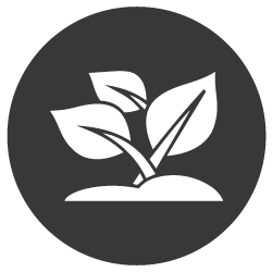 Industrial-Fan-Systems-IFS-Ventilation-Applications-Agriculture