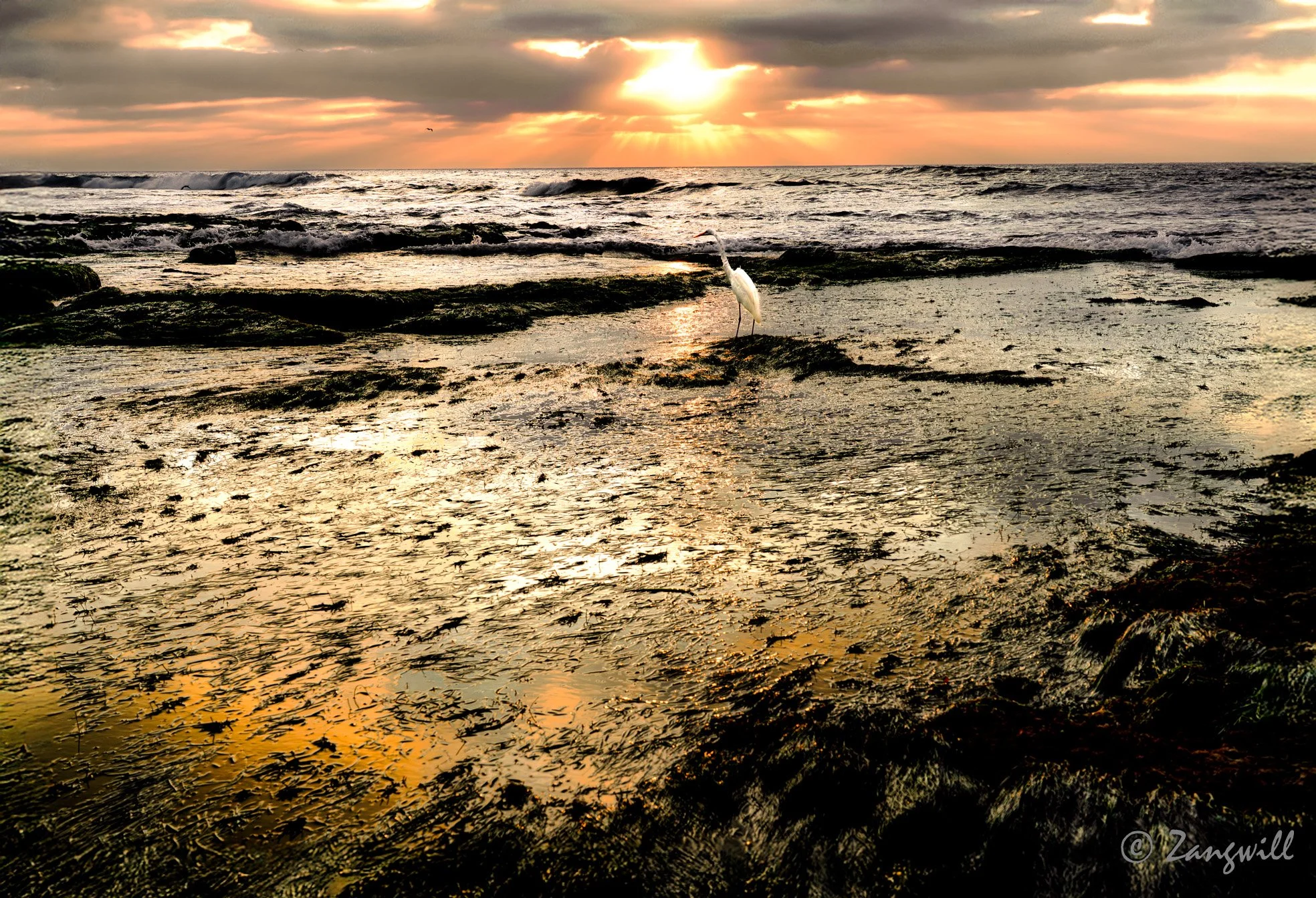 DSC03410-Edit crop-Edit.jpg