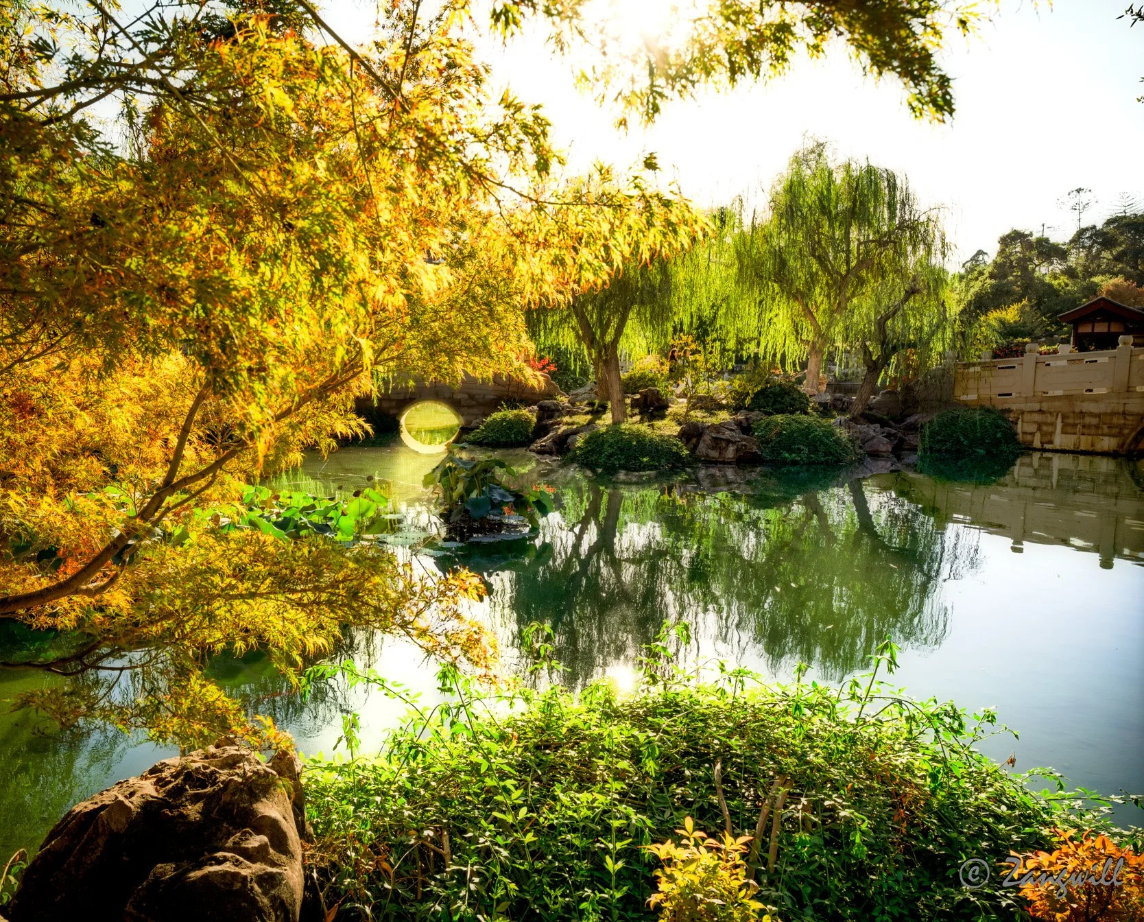 DSC07987-Edit-Edit final norm glow.jpg