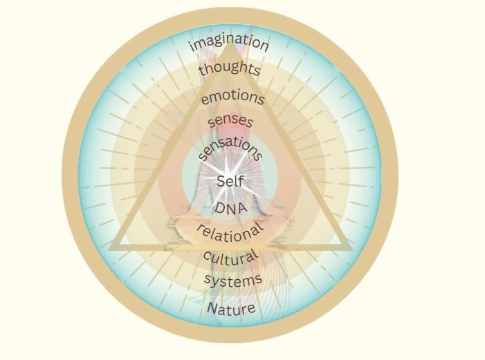 A diagram with concentric circles and a triangle inside, showing the relationship between self, senses, emotions, thoughts, imagination, and nature, with labels such as DNA, cultural systems, and natural elements.