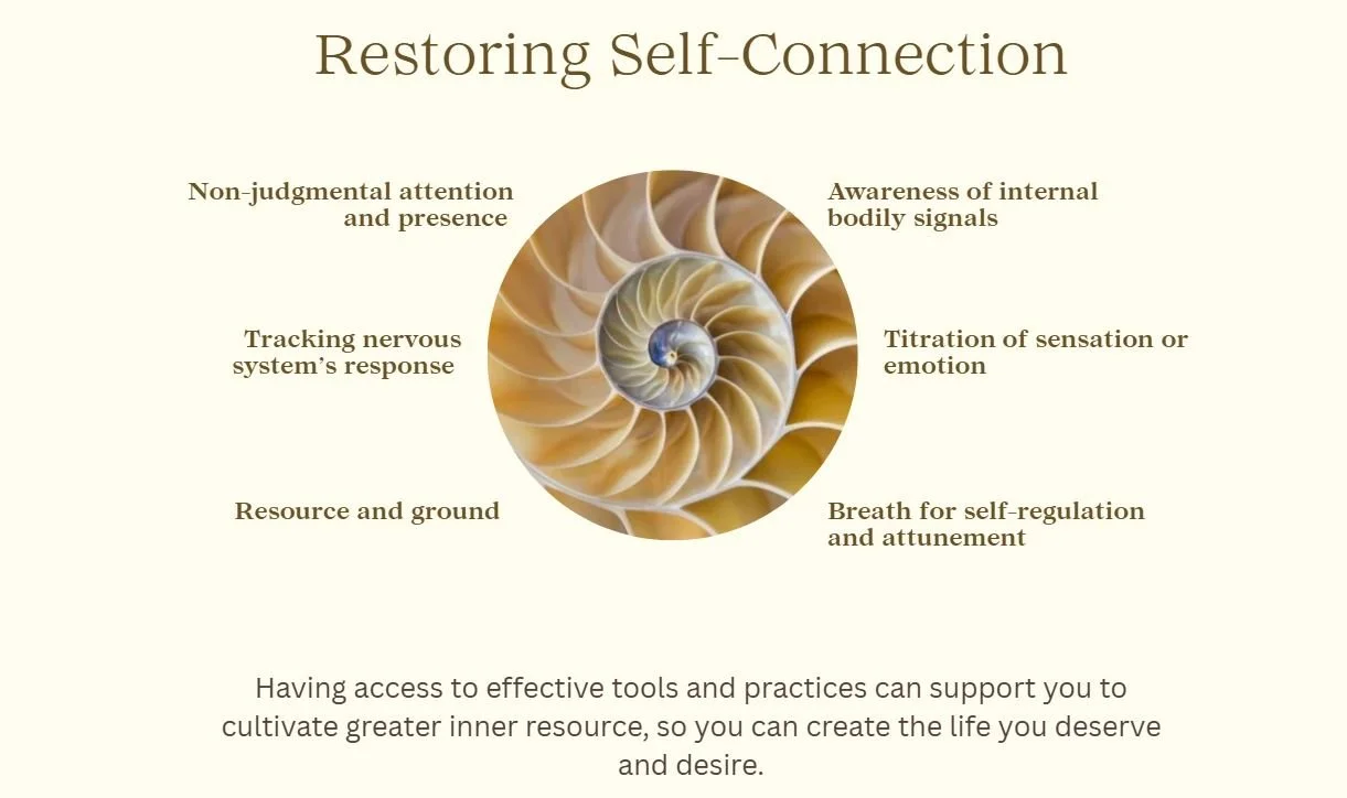 Diagram of a spiral shell with sections labeled: Non-judgmental attention and presence, Awareness of internal bodily signals, Titration of sensation or emotion, Breath for self-regulation and attunement, Resource and ground, Tracking nervous system's response. Text at the top reads 'Restoring Self-Connection' and at the bottom, 'Having access to effective tools and practices can support you to cultivate greater inner resource, so you can create the life you deserve and desire.'