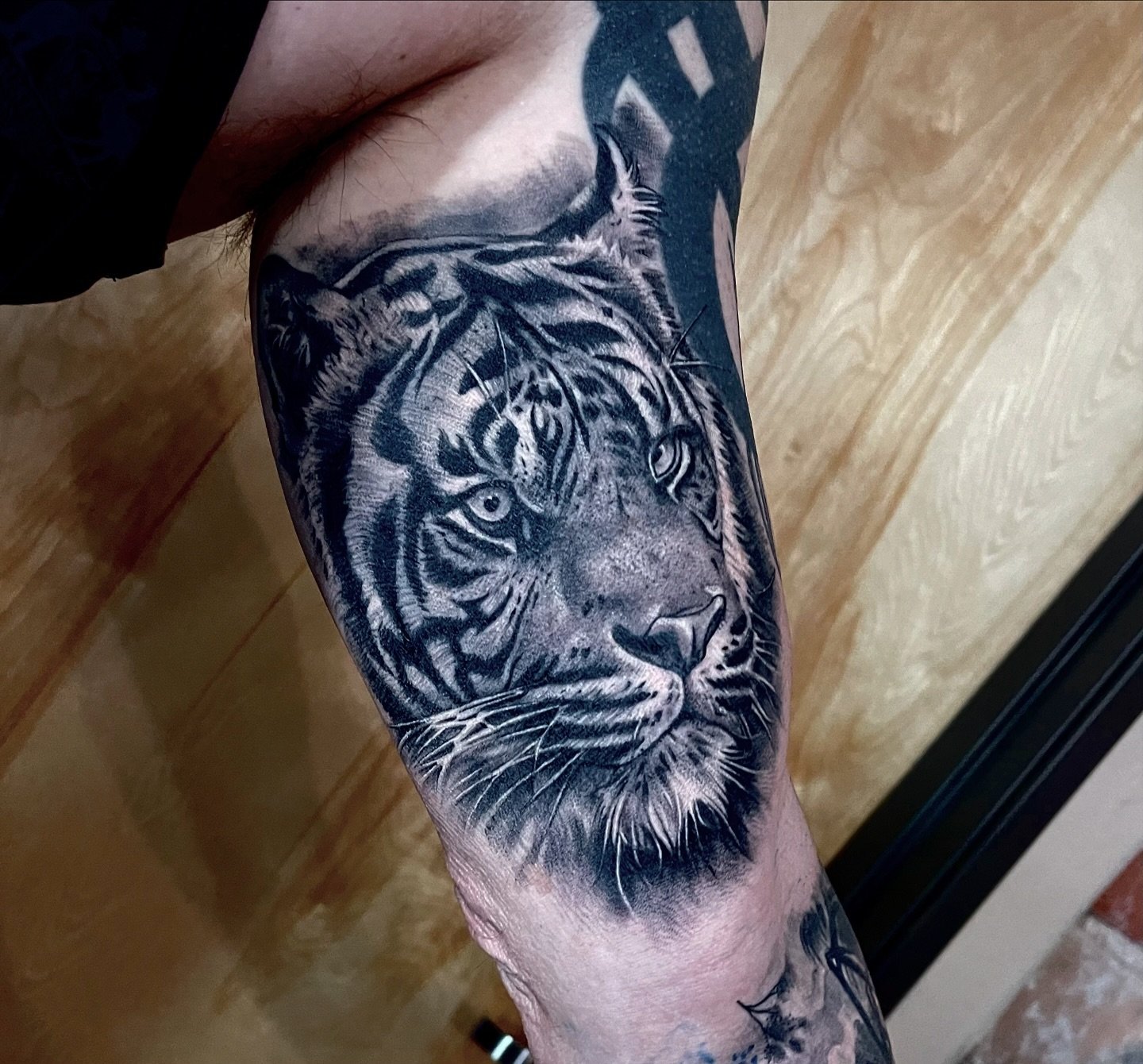 Healed tiger from a while ago! #tattoosbyclint #blackandgrey #tigertattoo #armtatt #animalportrait #realistictattoo