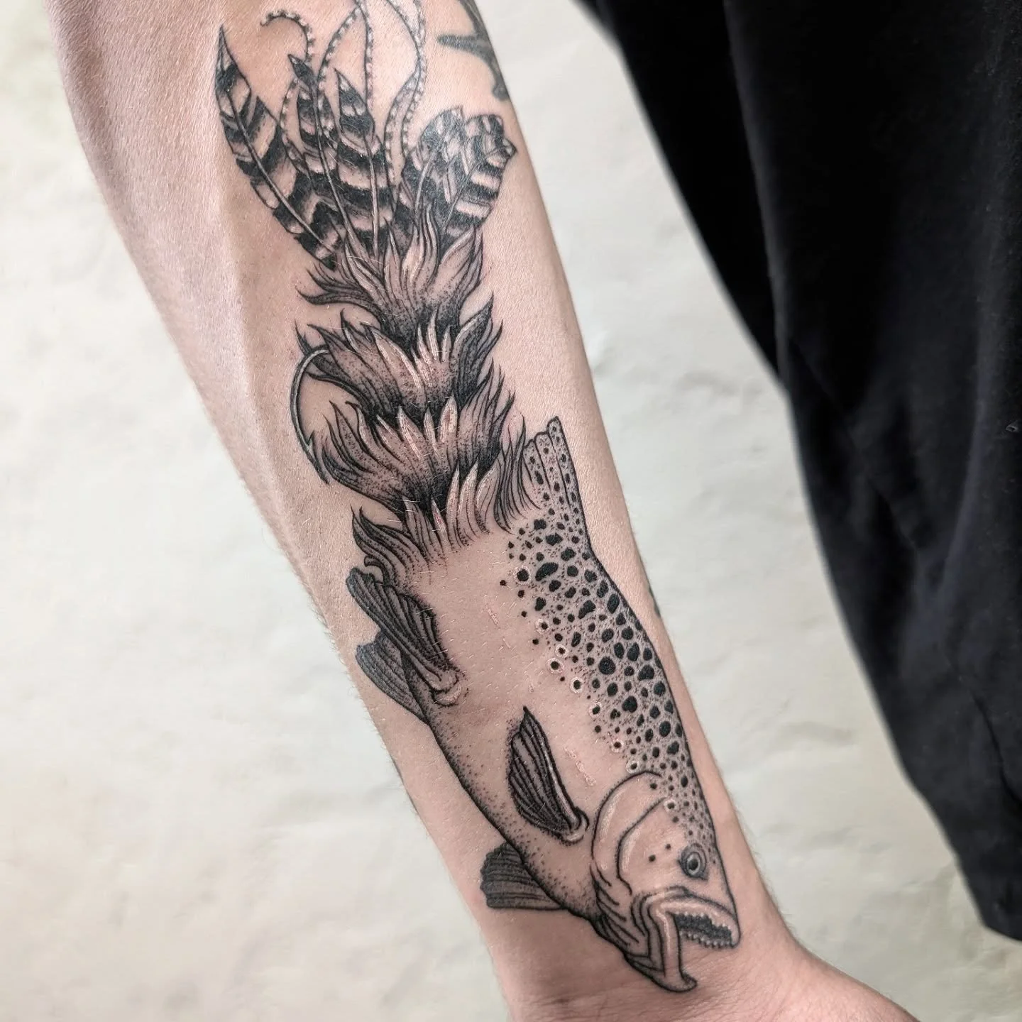 Thanks @coltonn_bowers Brownie/game changer fresh. Mountain lion all healed up. 
.
.
.
.
.
#tattoo #coloradotattoo #fishntattoo #csu #sictats #browntrout