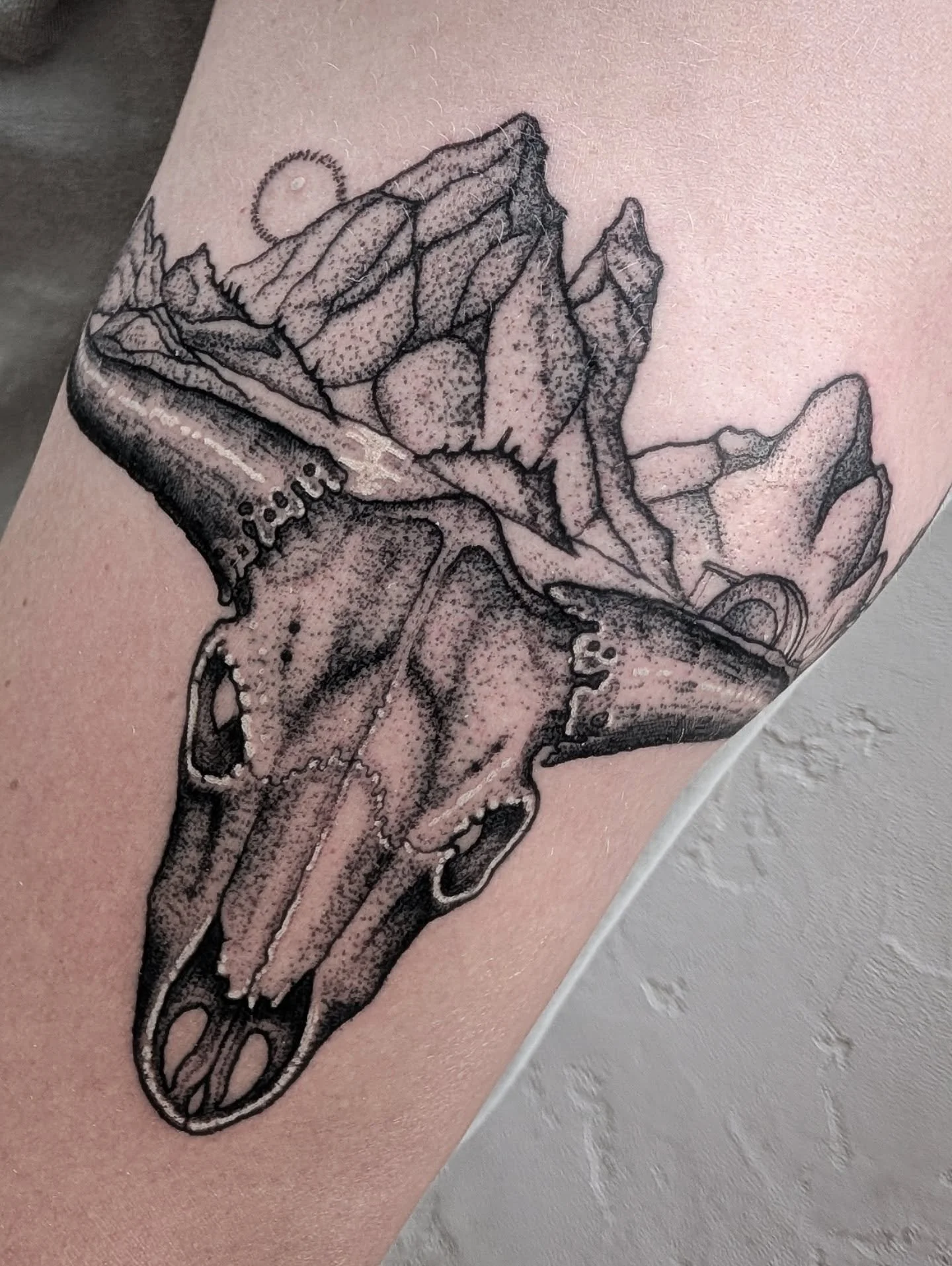 Big day for Colby. Thanks man! I've got availability tomorrow (Friday the 22nd). HMU
.
.
.
.
.
#tattoo #coloradotattoo #wyomingtattoo #skulltattoo #sictat #csutattoo #csu #boldertattoo #blackandgrey