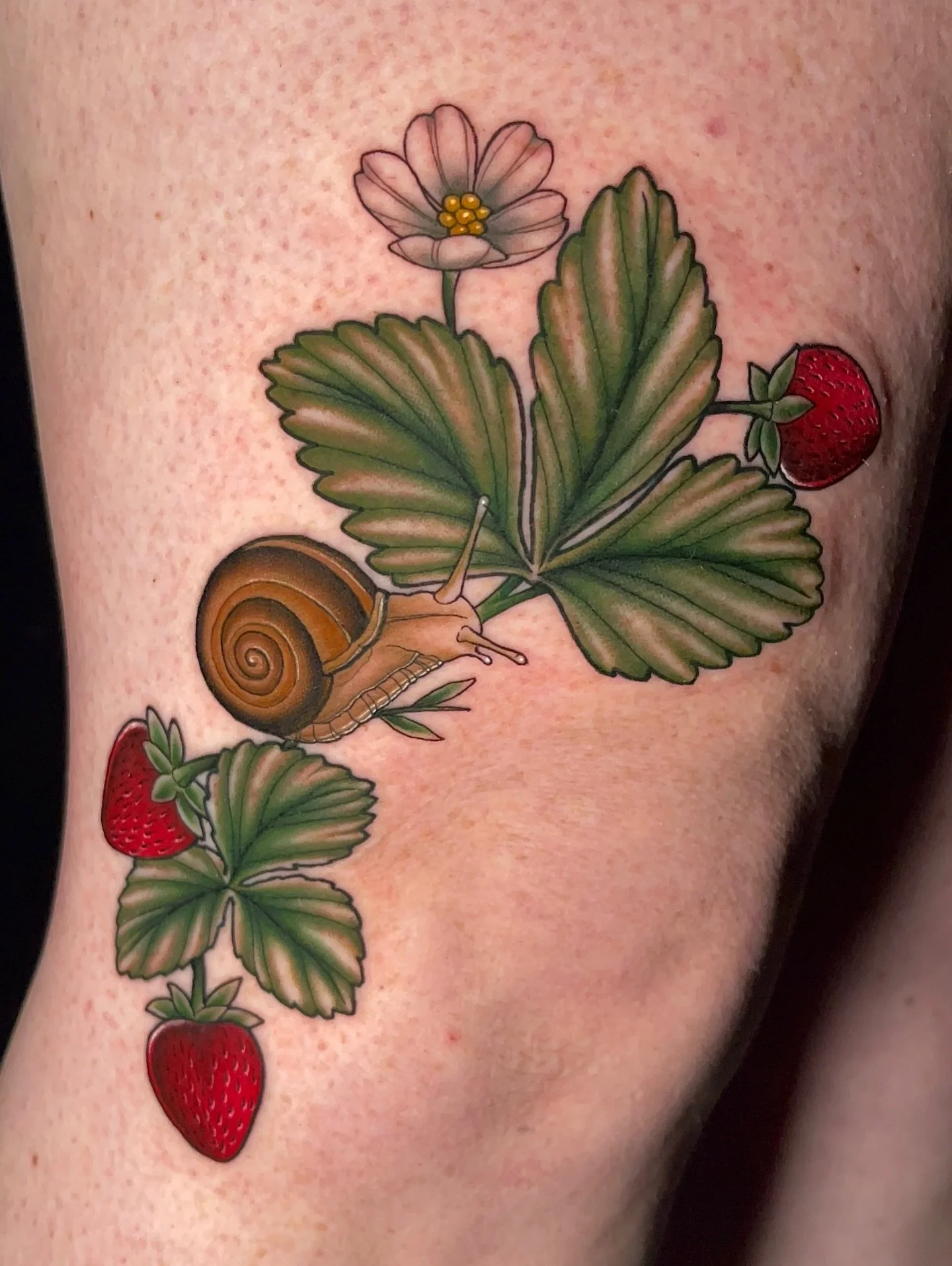 🍓Little snail and strawberries around the knee!🐌 
**Scroll over to see a video! &mdash;&gt;
I love when I get to do color tattoos!
.
.
🐌
🍓 
.
.
#tattoo #tattooartists #snail #snails #strawberry #strawberries #strawberrytattoo #snailtattoo #art #t
