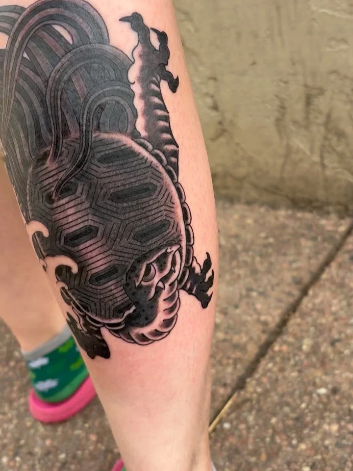 🐢