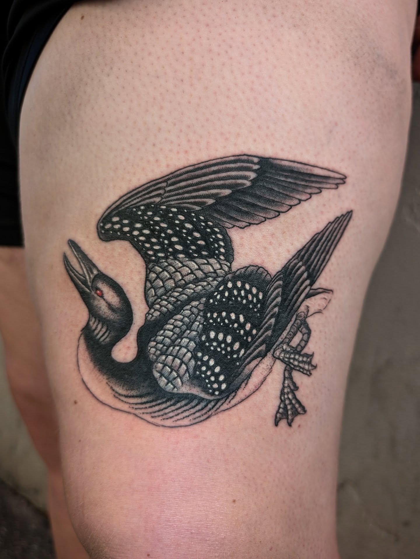 Loon for Monica, Thank you