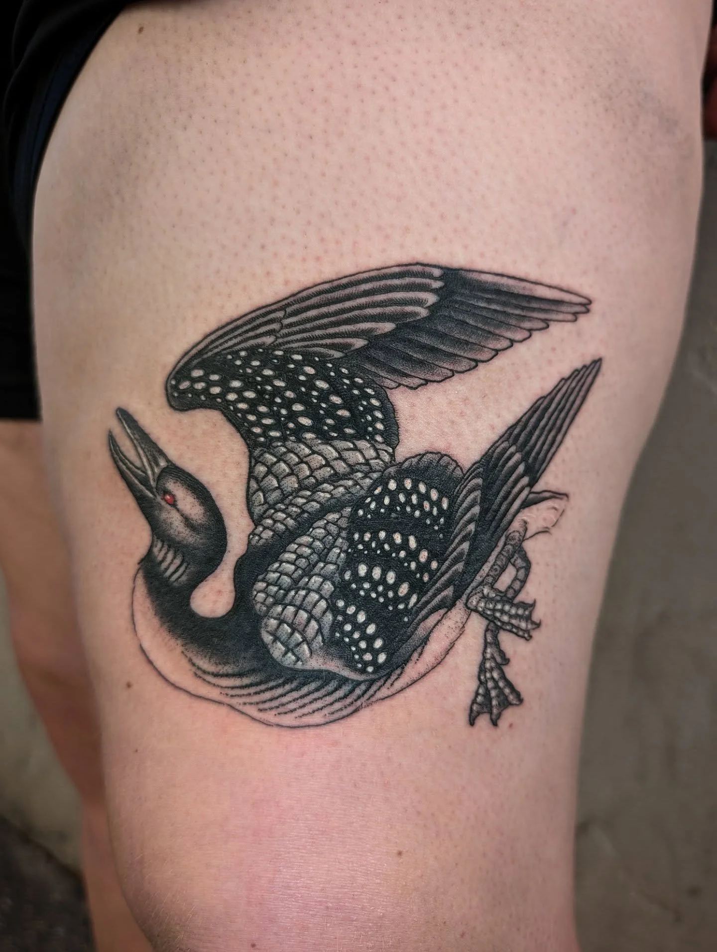 Loon for Monica, Thank you