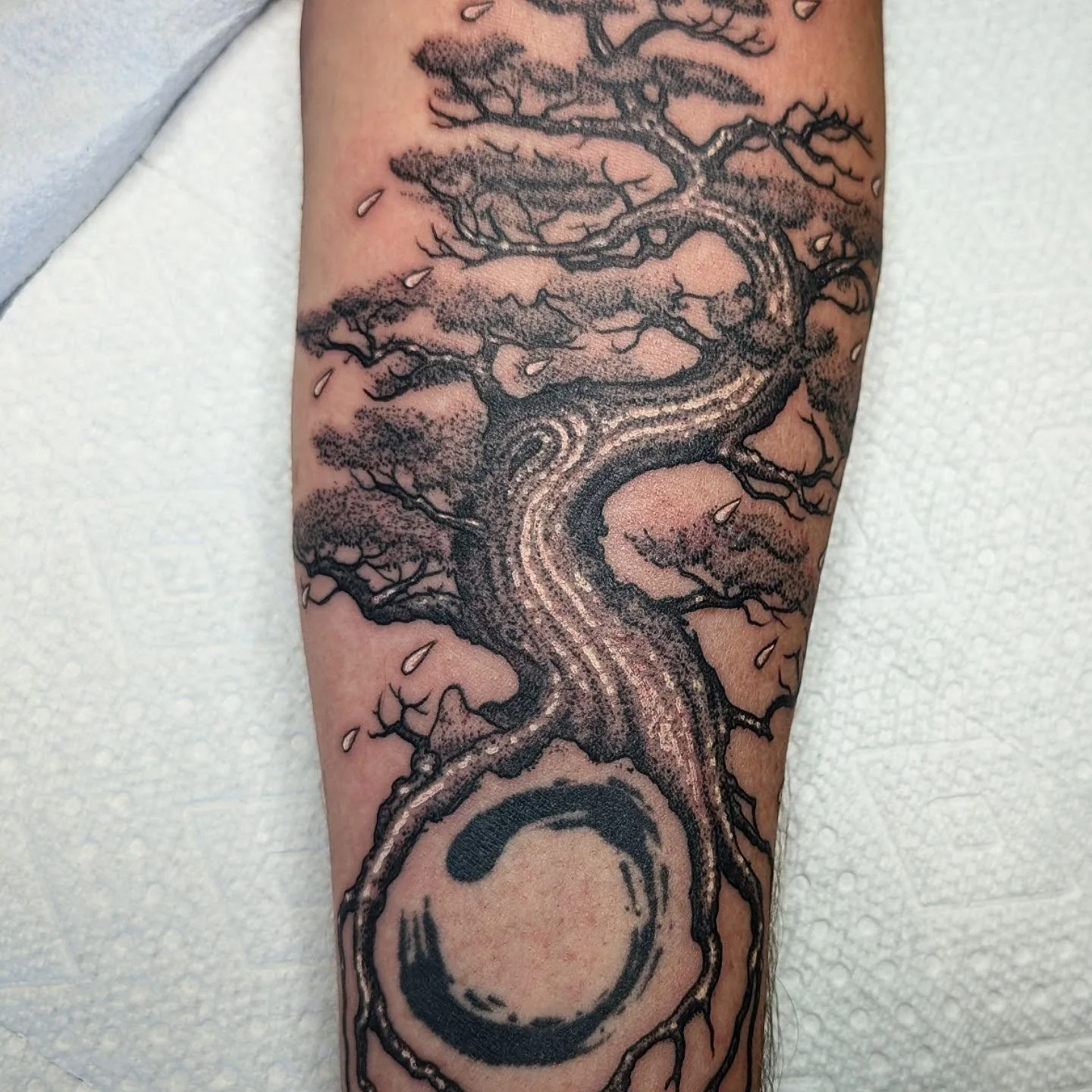 Watering the seeds Jaime wishes to grow. Thank you