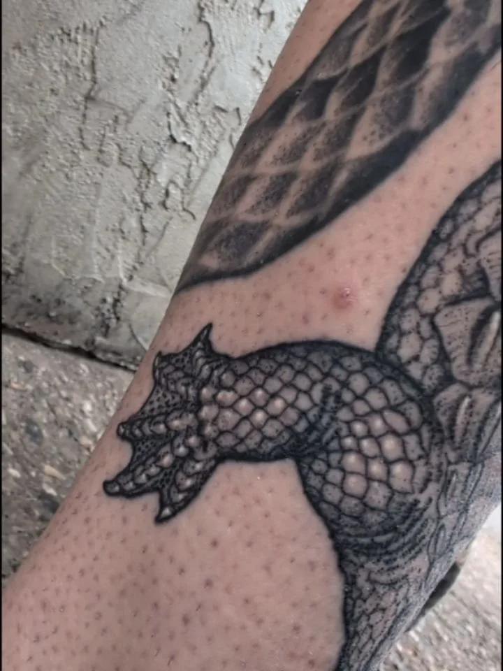 Gator all healed up. Thanks @onlyplatess