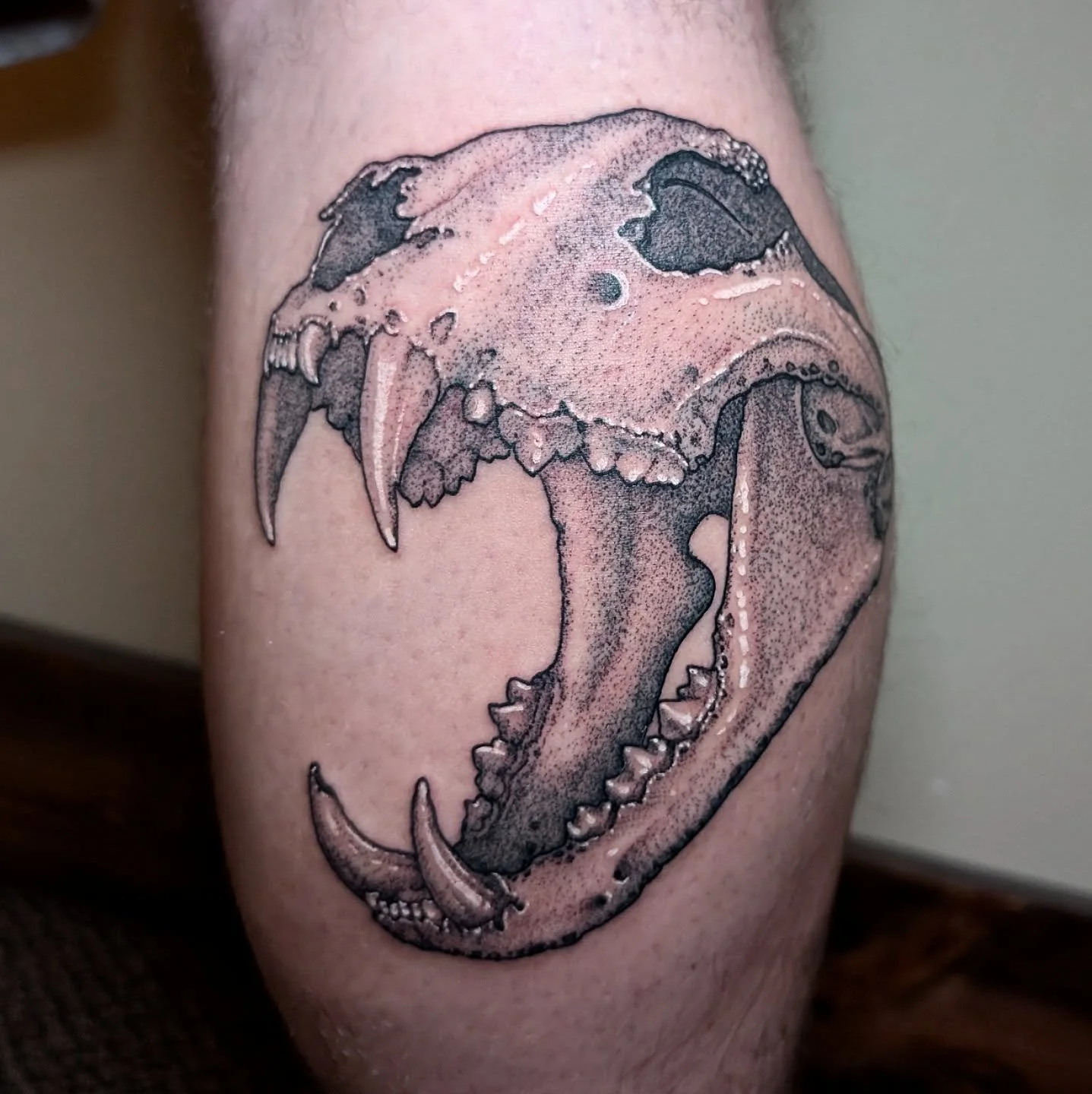 Tiger fresh. Loon 1 month healed. Thanks. I love my job