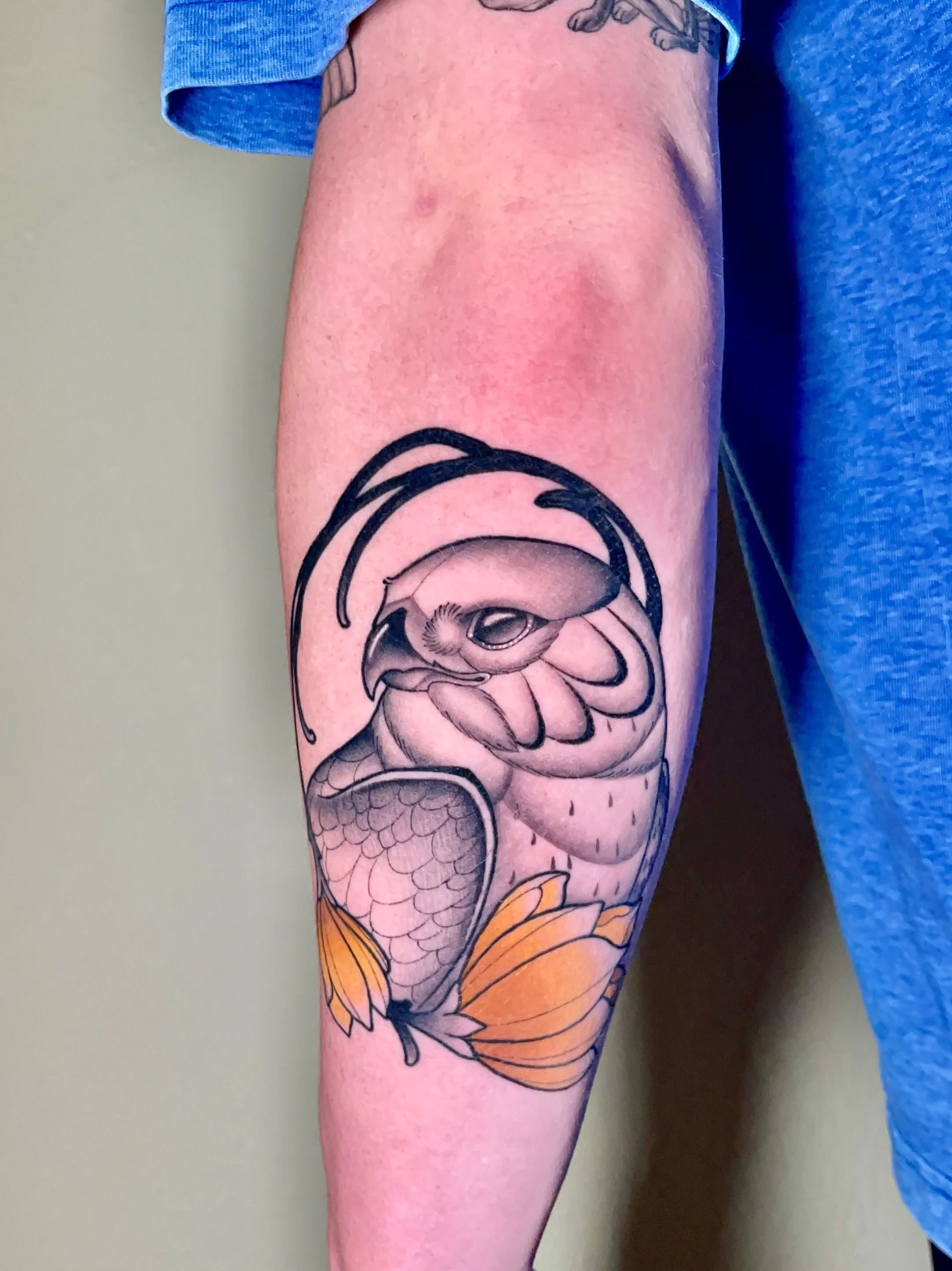 I love tattooing hawks and birds in general, and this one was from my predrawn flash!
The first photo is healed &mdash;> swipe to see the healed photos