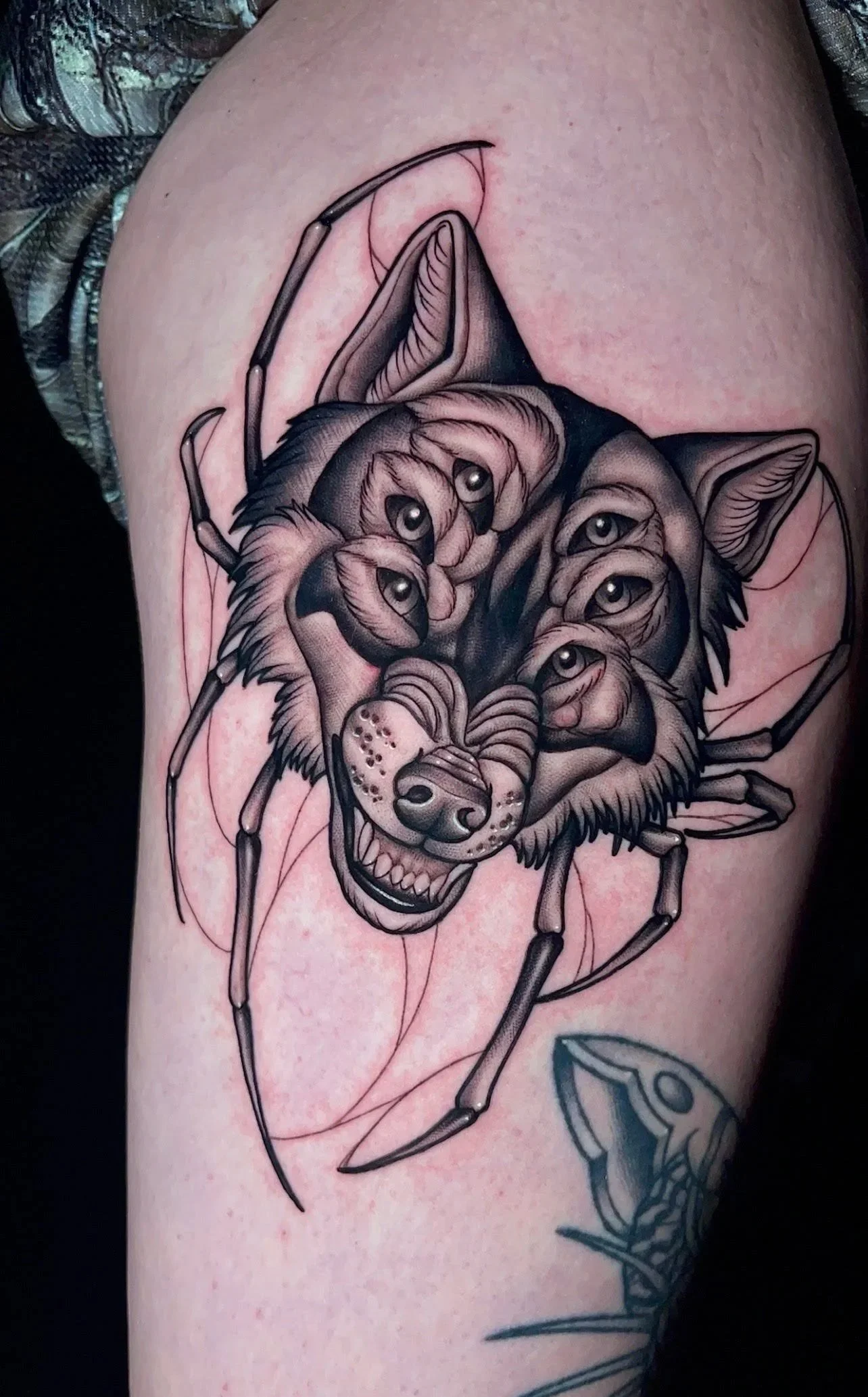 Tattoo of a wolf's face combined with a spider's body and multiple eyes, on a person's arm.