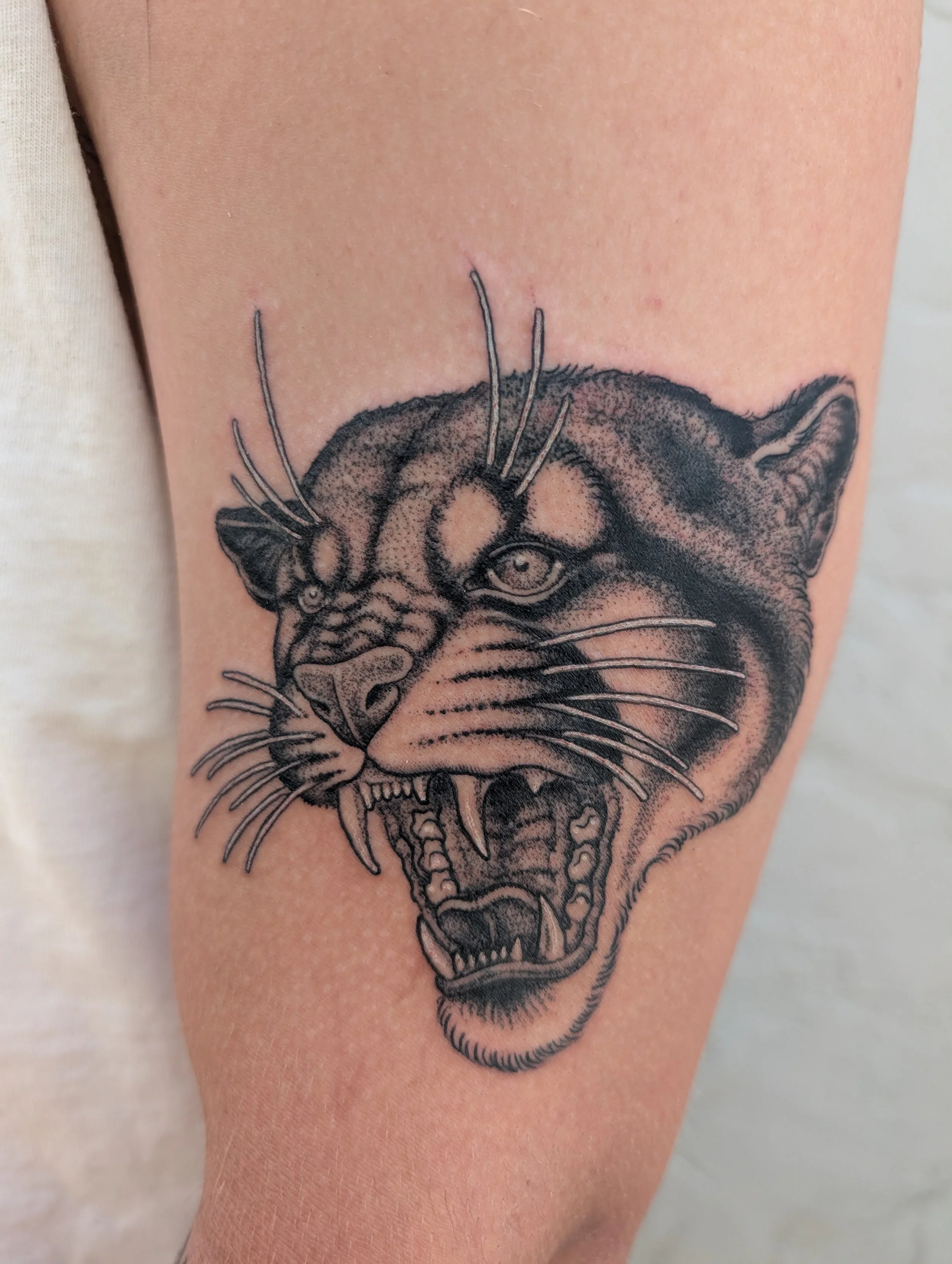 Close-up of a tattoo of a fierce animal, likely a panther or big cat, on a person's arm. The animal has an open mouth showing sharp teeth, intense eyes, and detailed fur and whiskers in black and gray ink.