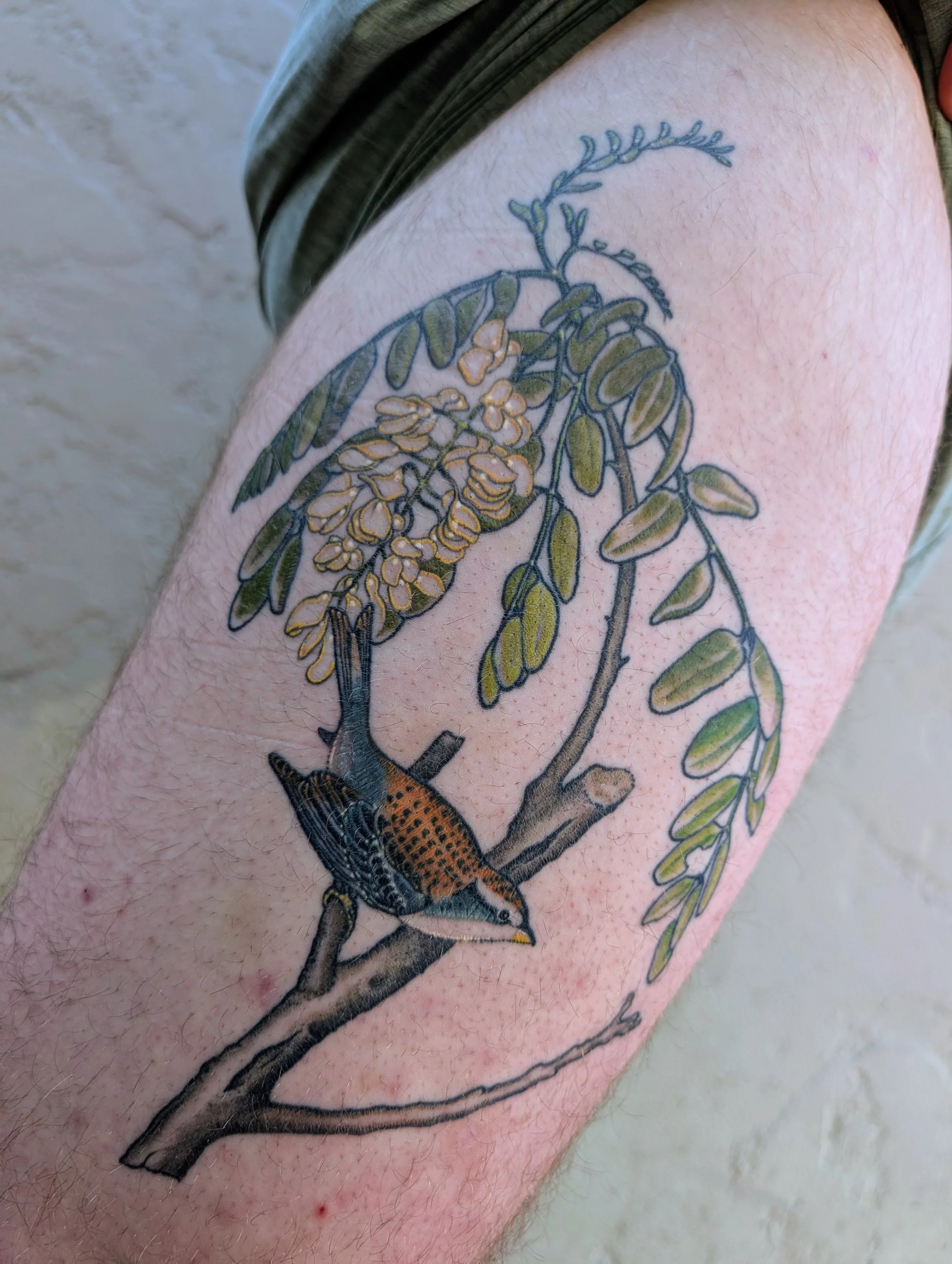 A tattoo of a bird perched on a branch with leaves and flowers on a person's arm.