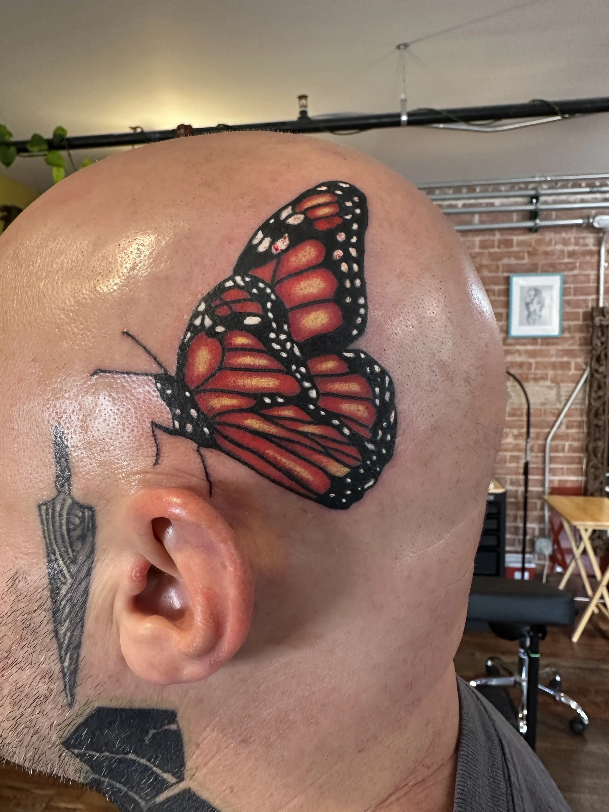 Tattoo of a monarch butterfly on the person's shoulder, with visible skin texture and part of the person's head and ear, in a room with brick wall and artwork in the background.