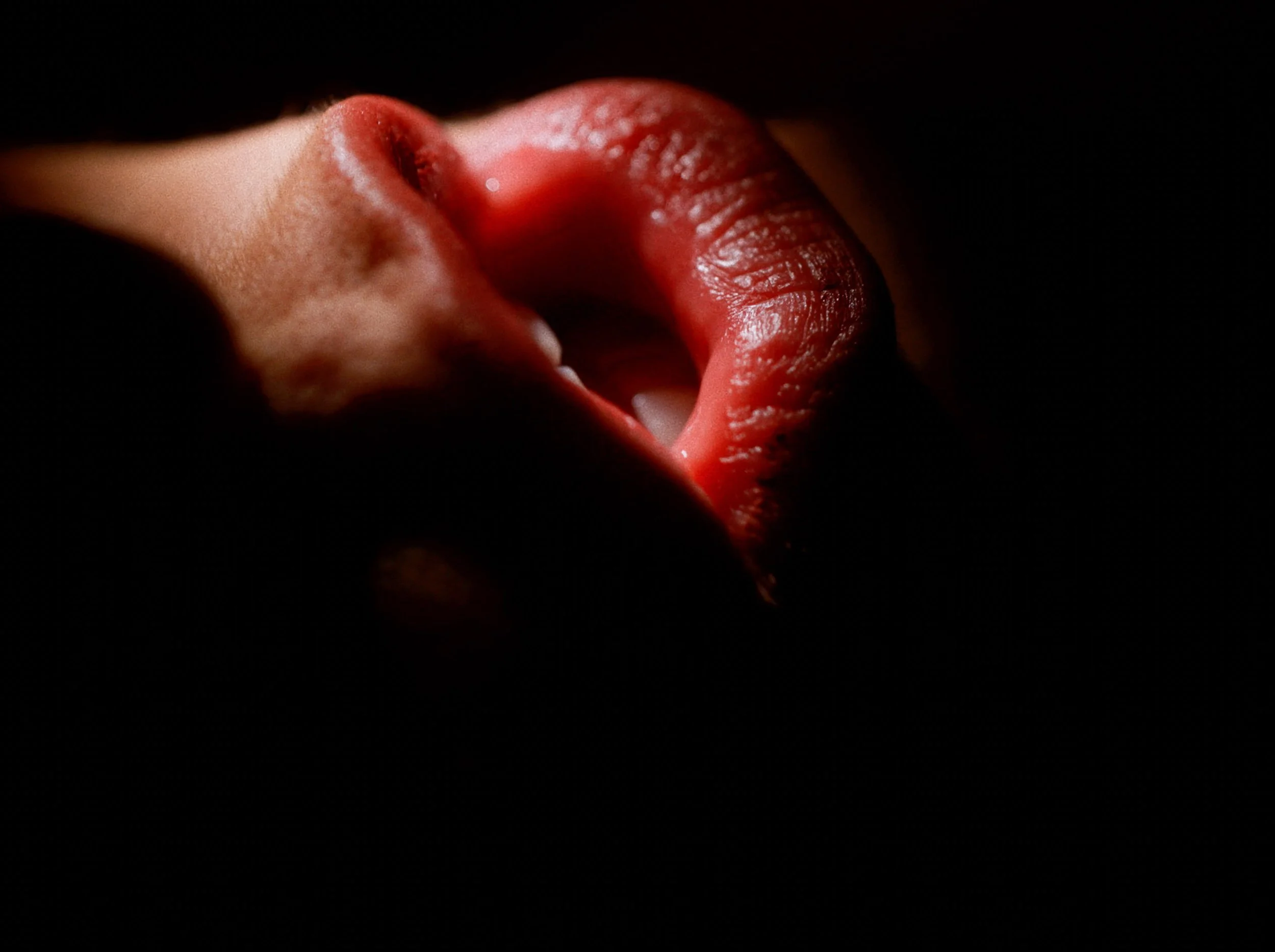 Screenshot 2026-01-29 at 5.06.56 PM.jpg