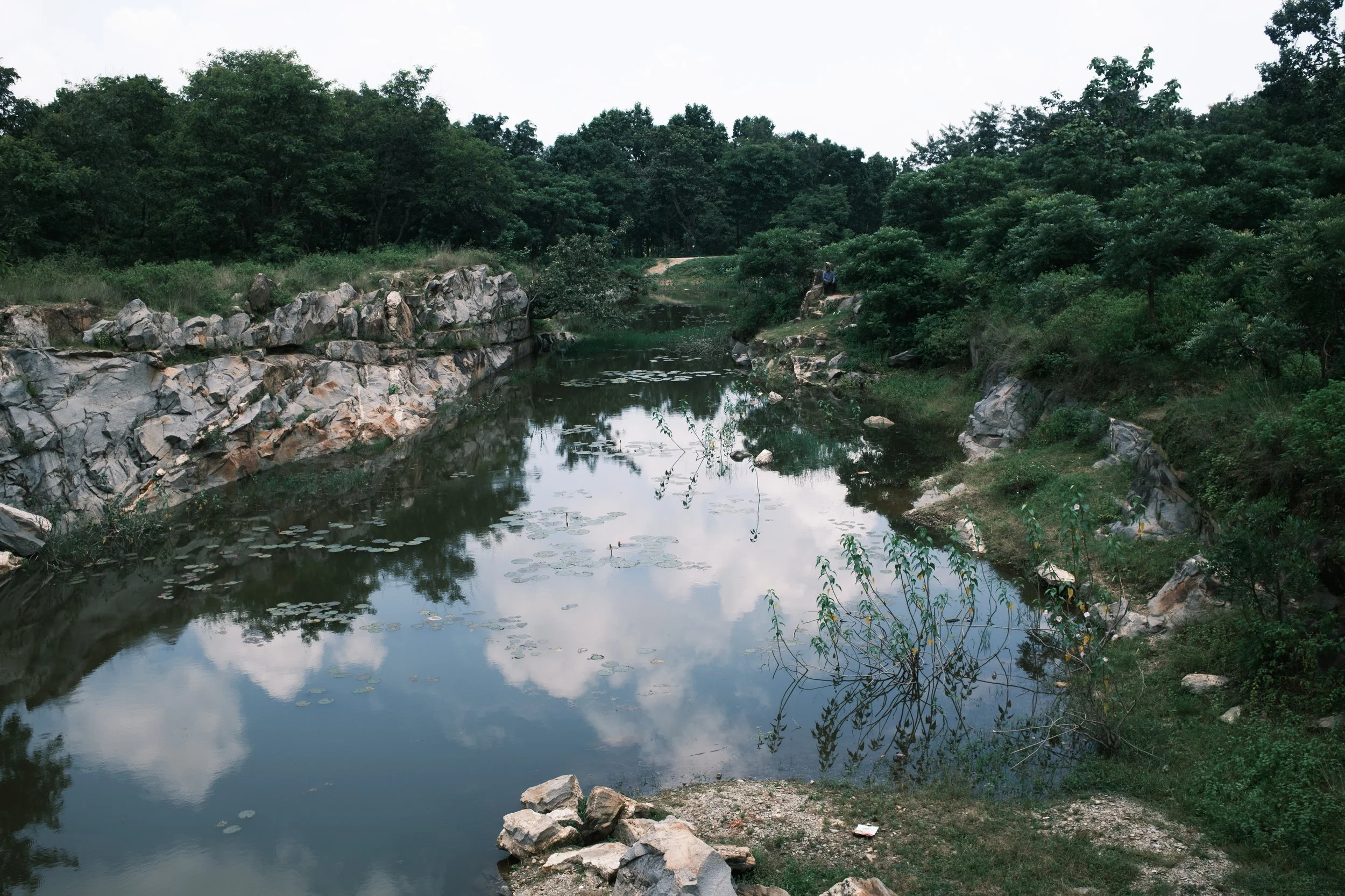 DSCF3444.jpg