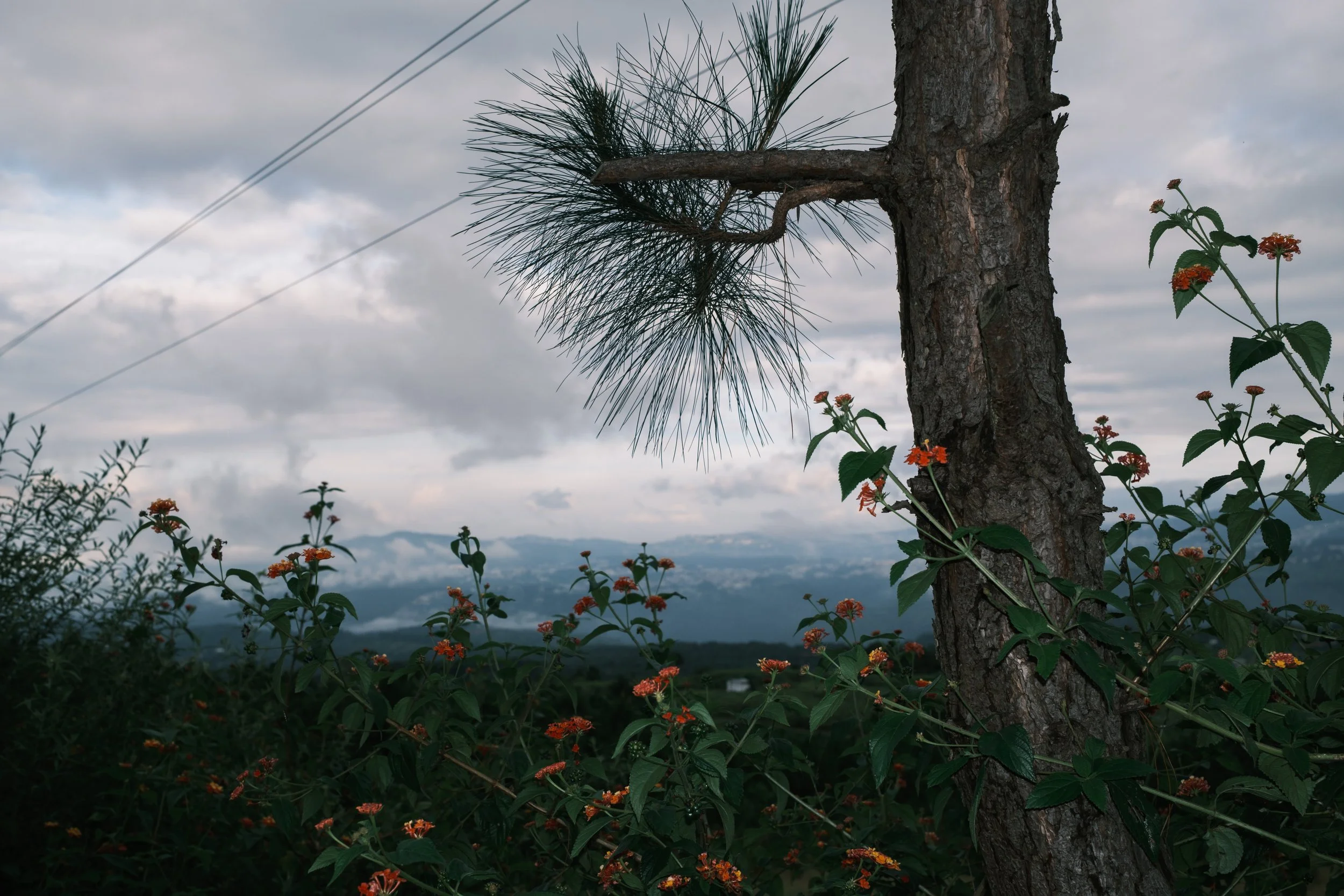 DSCF1281.jpg