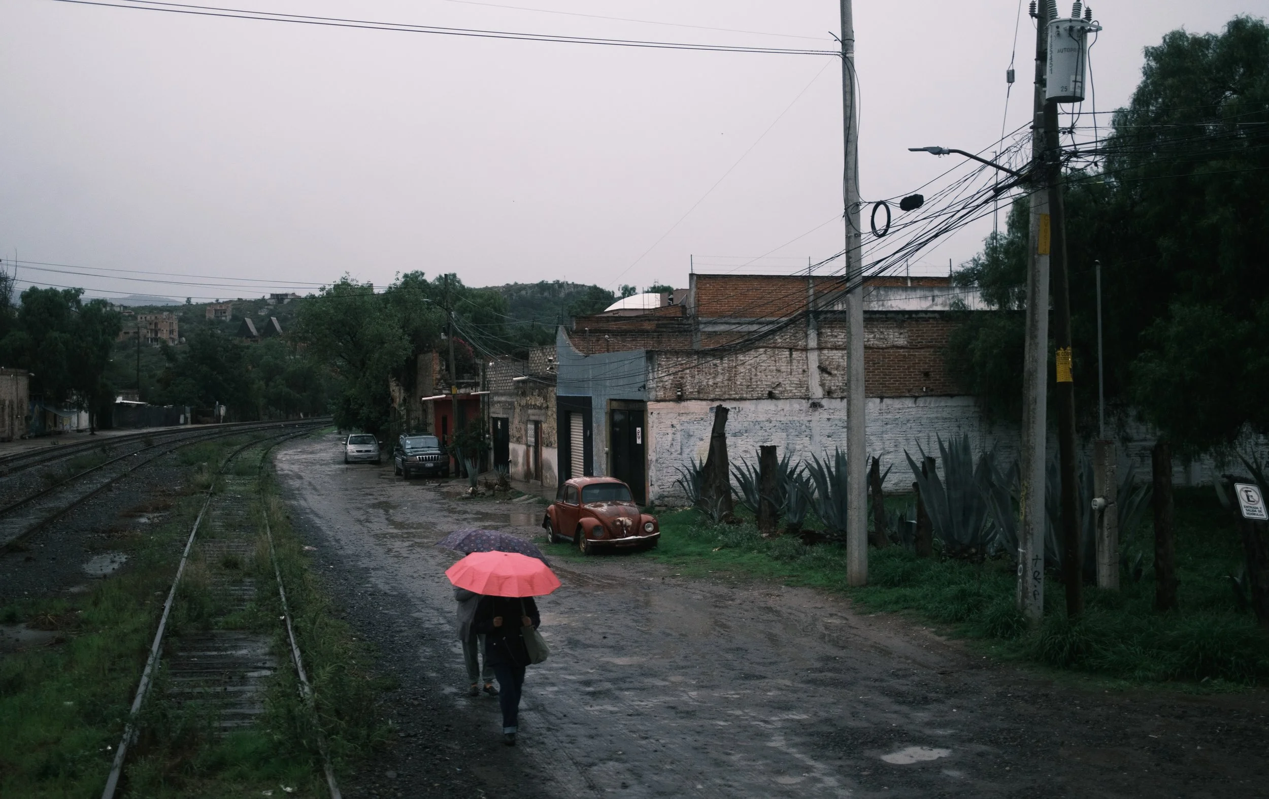 DSCF1056.jpg
