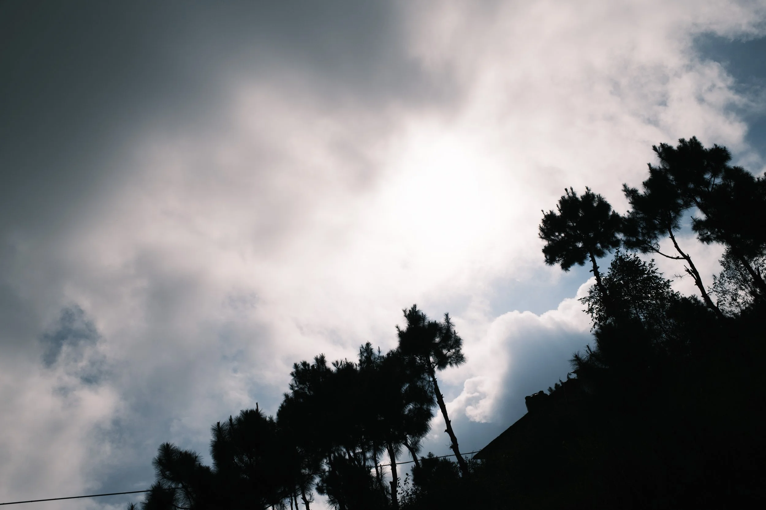 DSCF1130.jpg