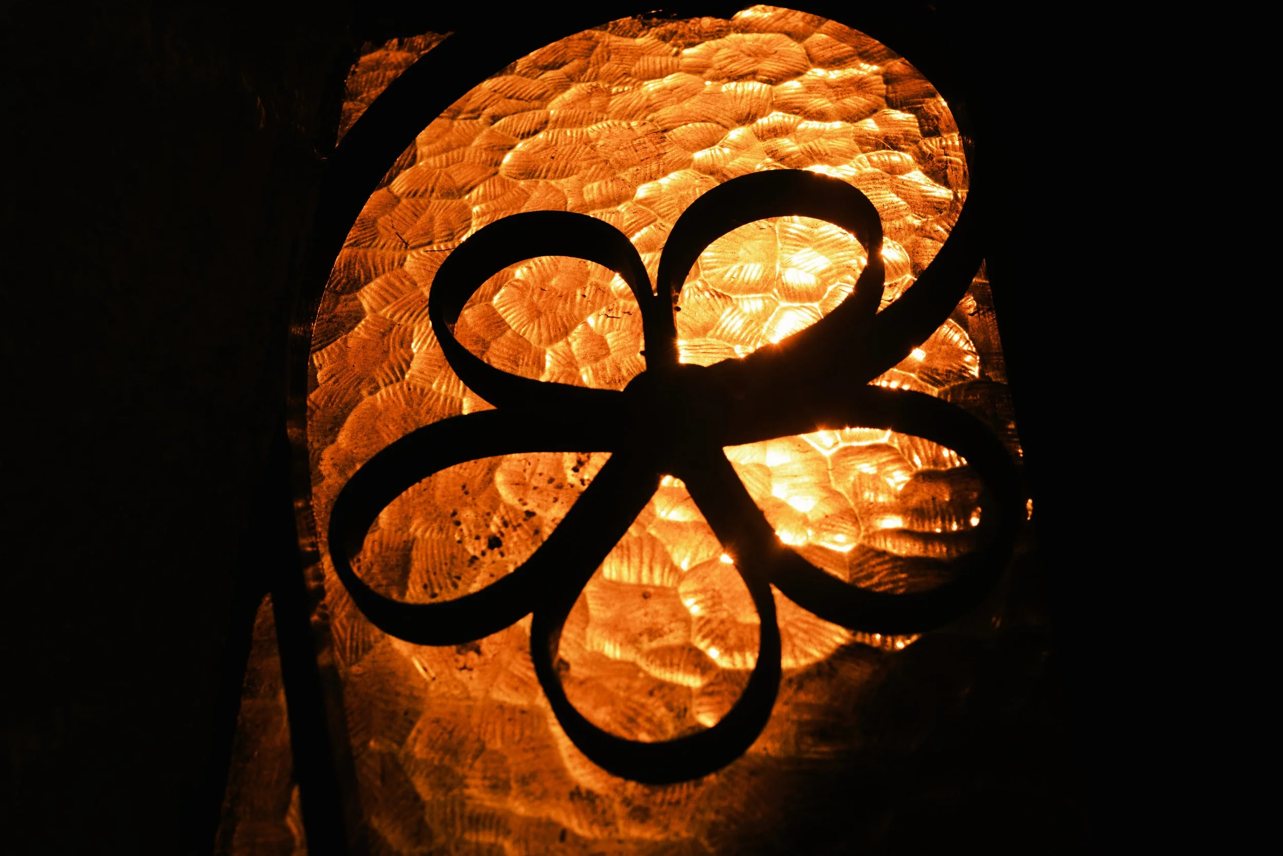 DSCF0750.jpg