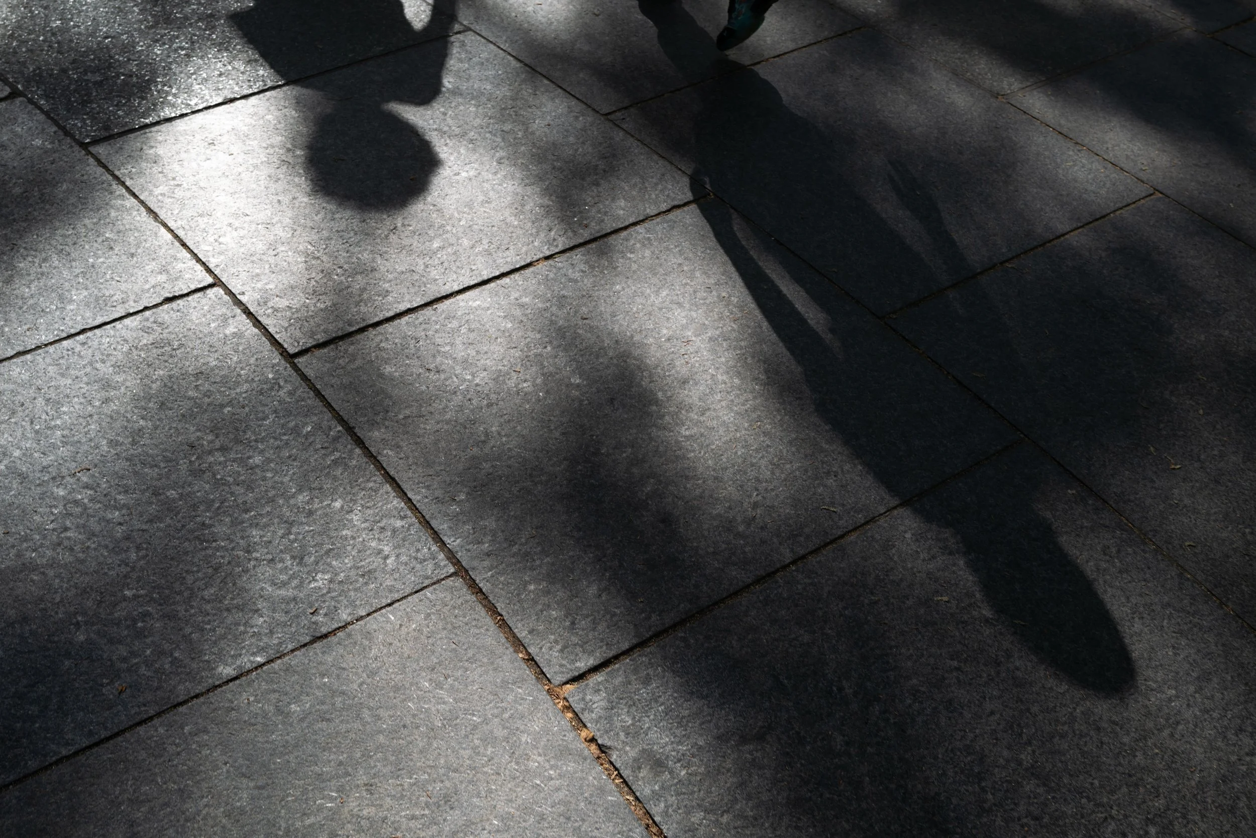 L1001945.jpg