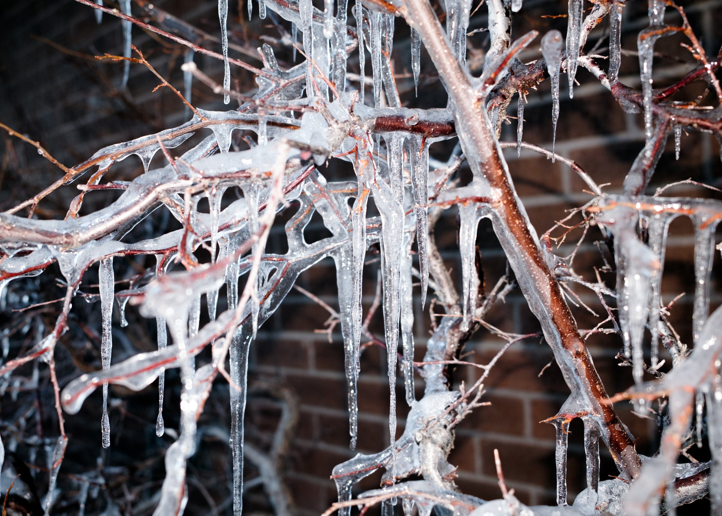 ice.jpg