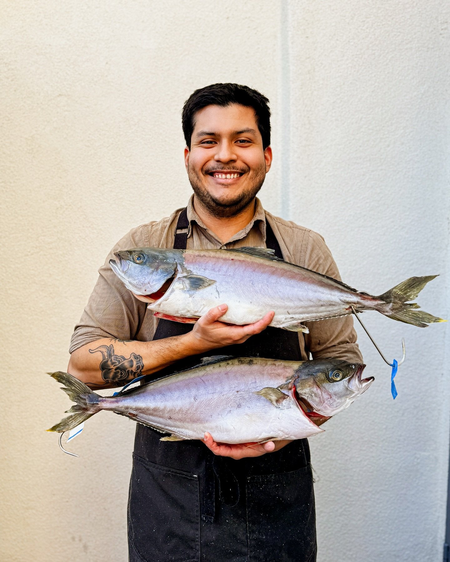 @thekingfishcompany Burihira / a yellowtail (buri) x amberjack (hiramasa) crossbreed / captures the rich taste of buri with the crispness of hiramasa