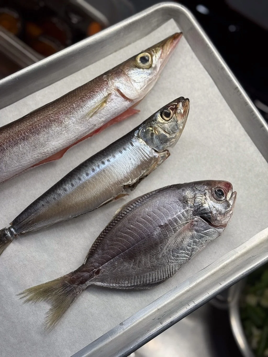 Little fish restock ~ Kamasu (barracuda), Iwashi (sardine), & Ebodai (butterfish). Dry aged to its peak condition
Perfect for sushi and more!
#littlefish #kamasu #iwashi #ebodai #sardine #butterfish #barracuda