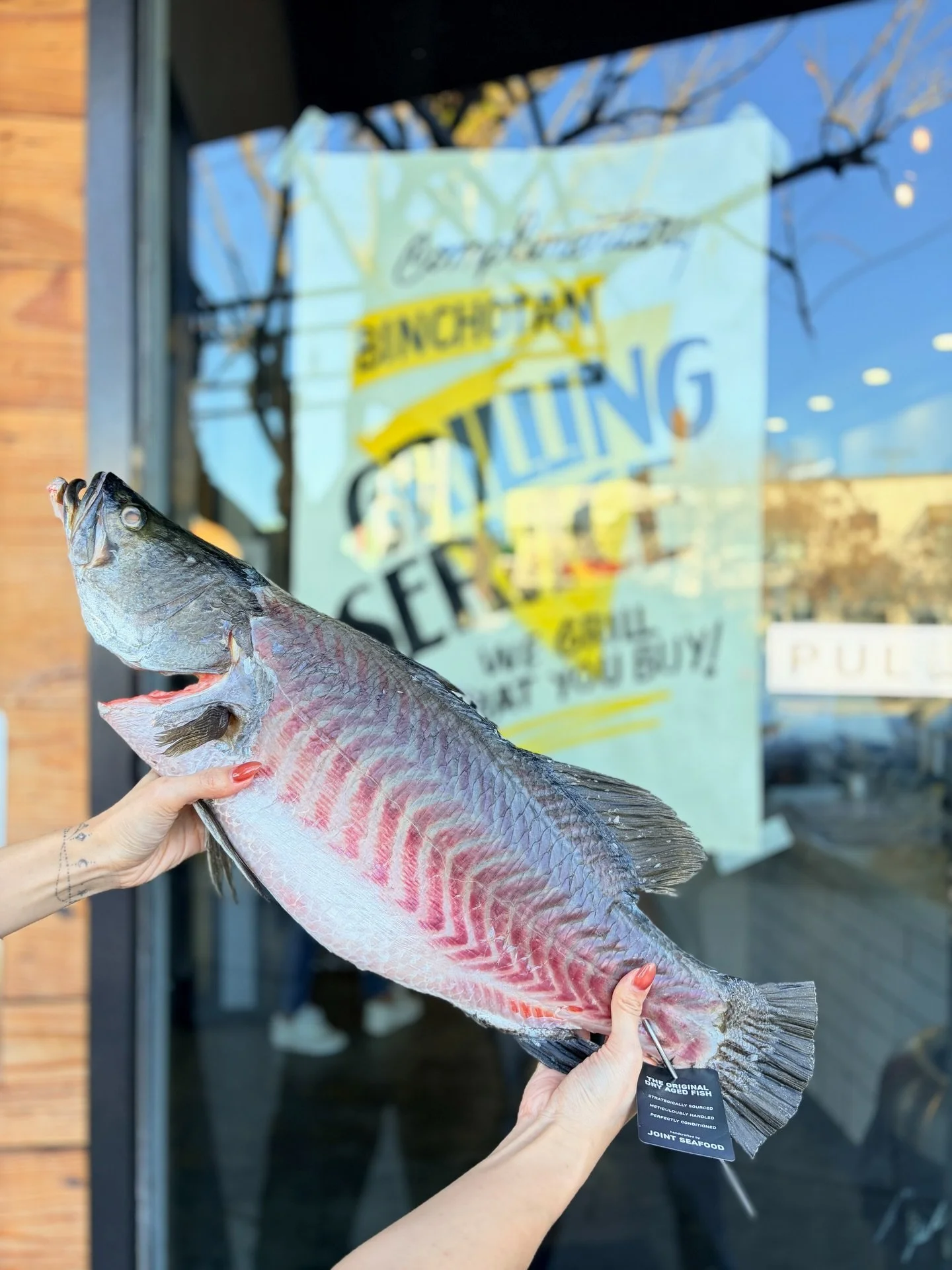What we&rsquo;re loving this week&hellip;

DRY AGED BARRAMUNDI - mild, slightly sweet, and buttery; its moderate fat content makes it hard to overcook and keeps it moist

DRY AGED KINMEDAI - packed with umami, with a succulent and fatty texture

SMOK
