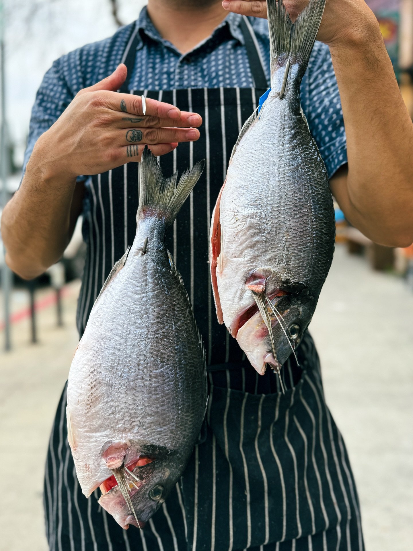 Name that fish ⬇️
Level👌

#dryagedfish #fishmarket #fishofinstagram #fishporn