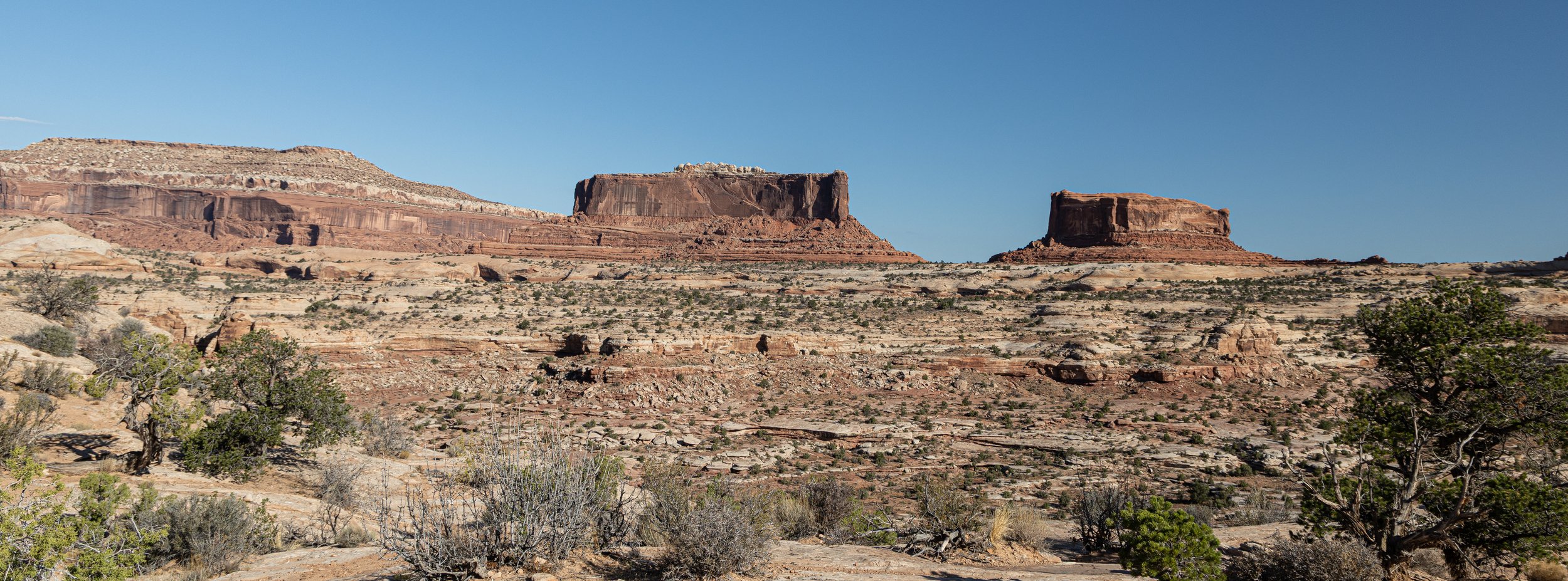 _5II6591.JPG
